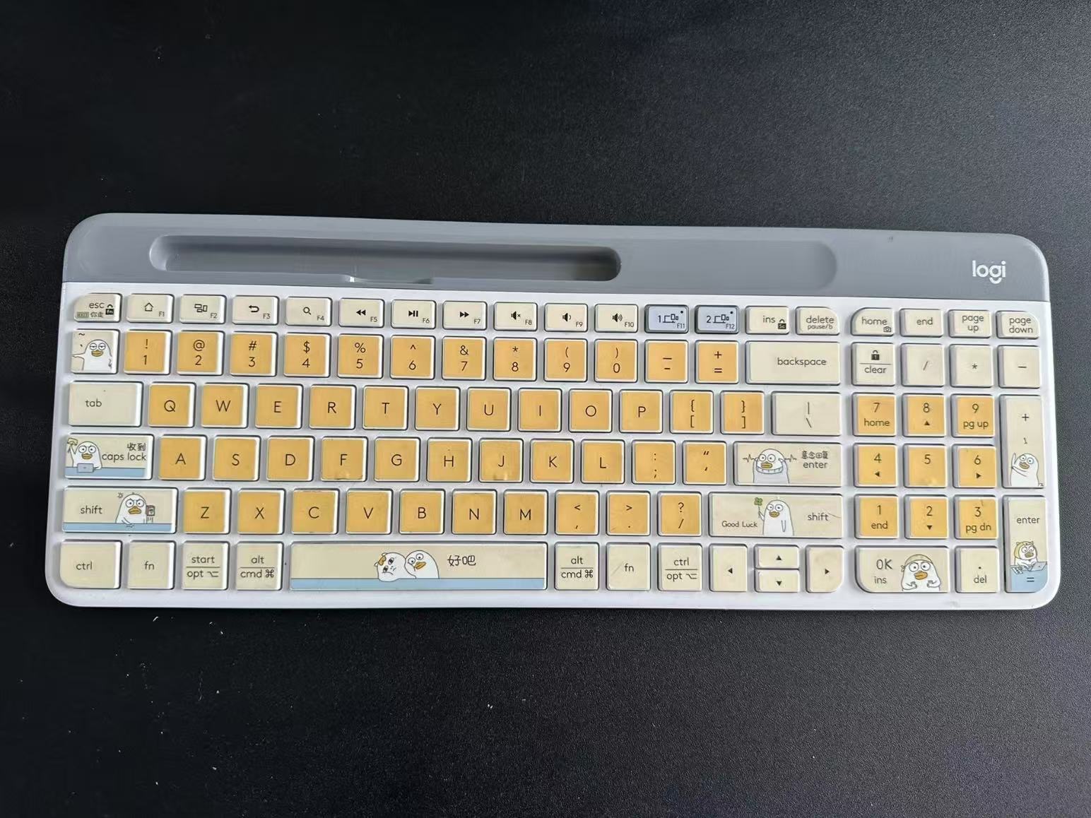 啊啊啊啊啊是小刘鸭呀呀呀😍✨