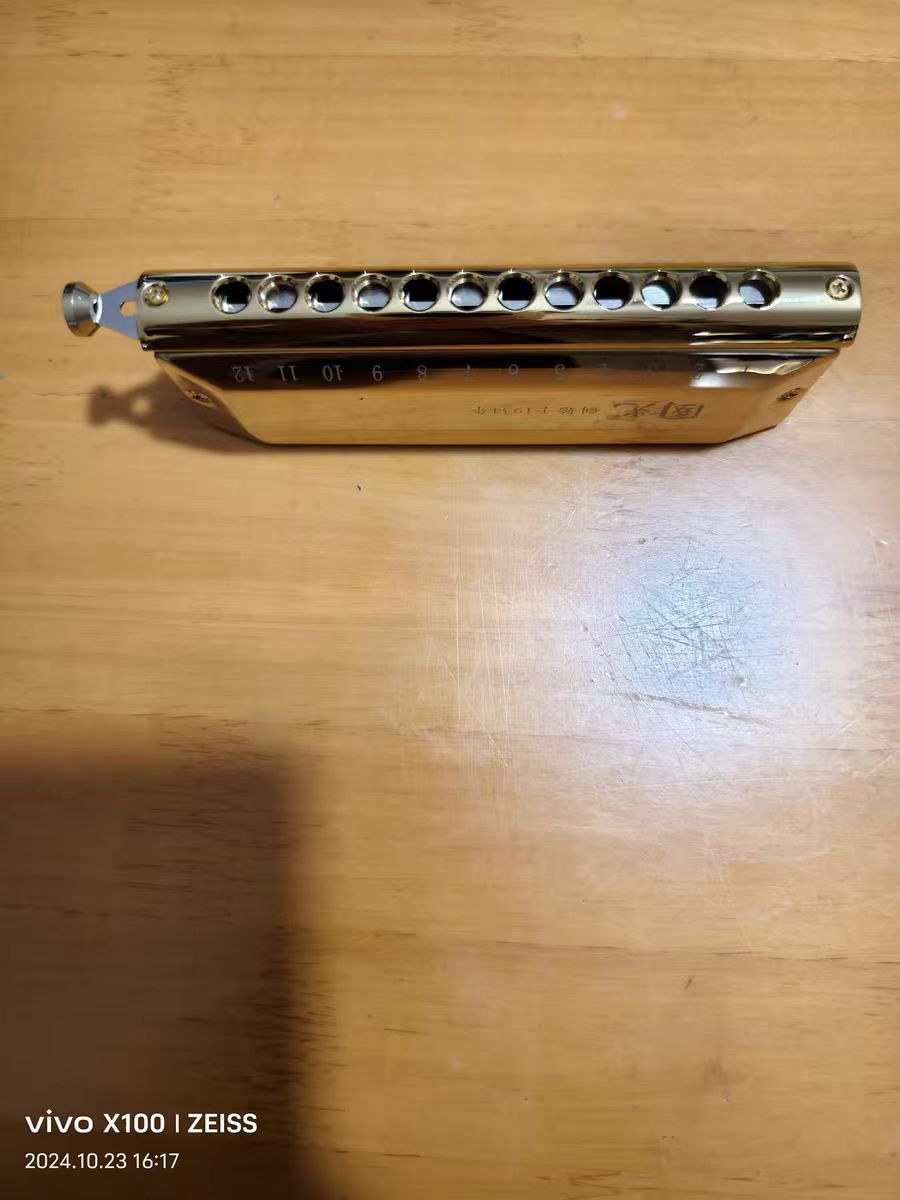 被问爆的口琴 🎶