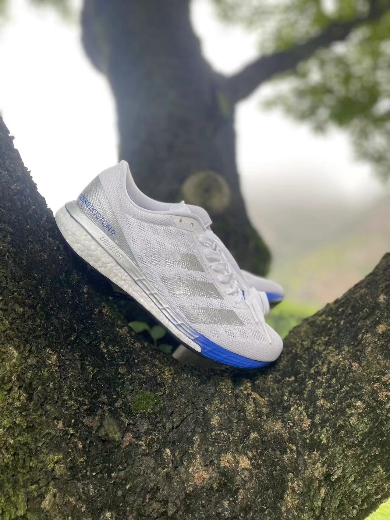 轻盈舒适 新生跑鞋👟