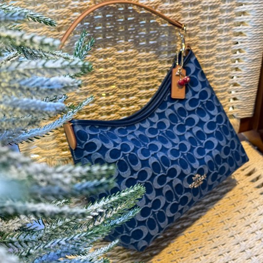 Coach新💙蔻驰流浪包新配色