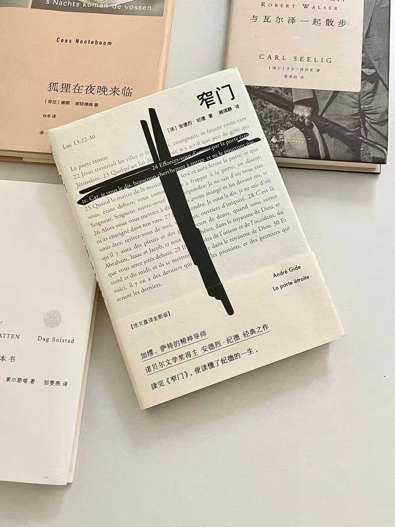 生命久如暗室，不妨明写春诗