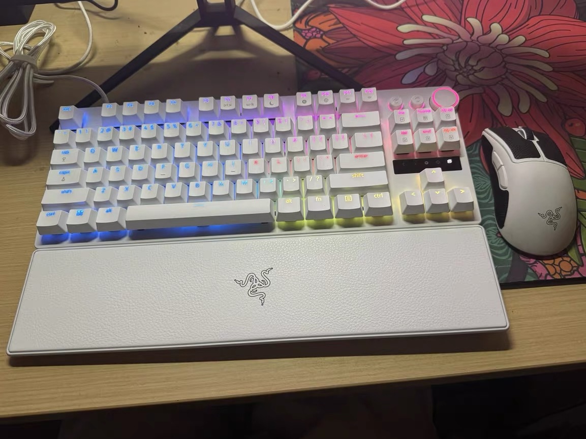 全能键盘王！游戏码字双开花，体验直接拉满🥳