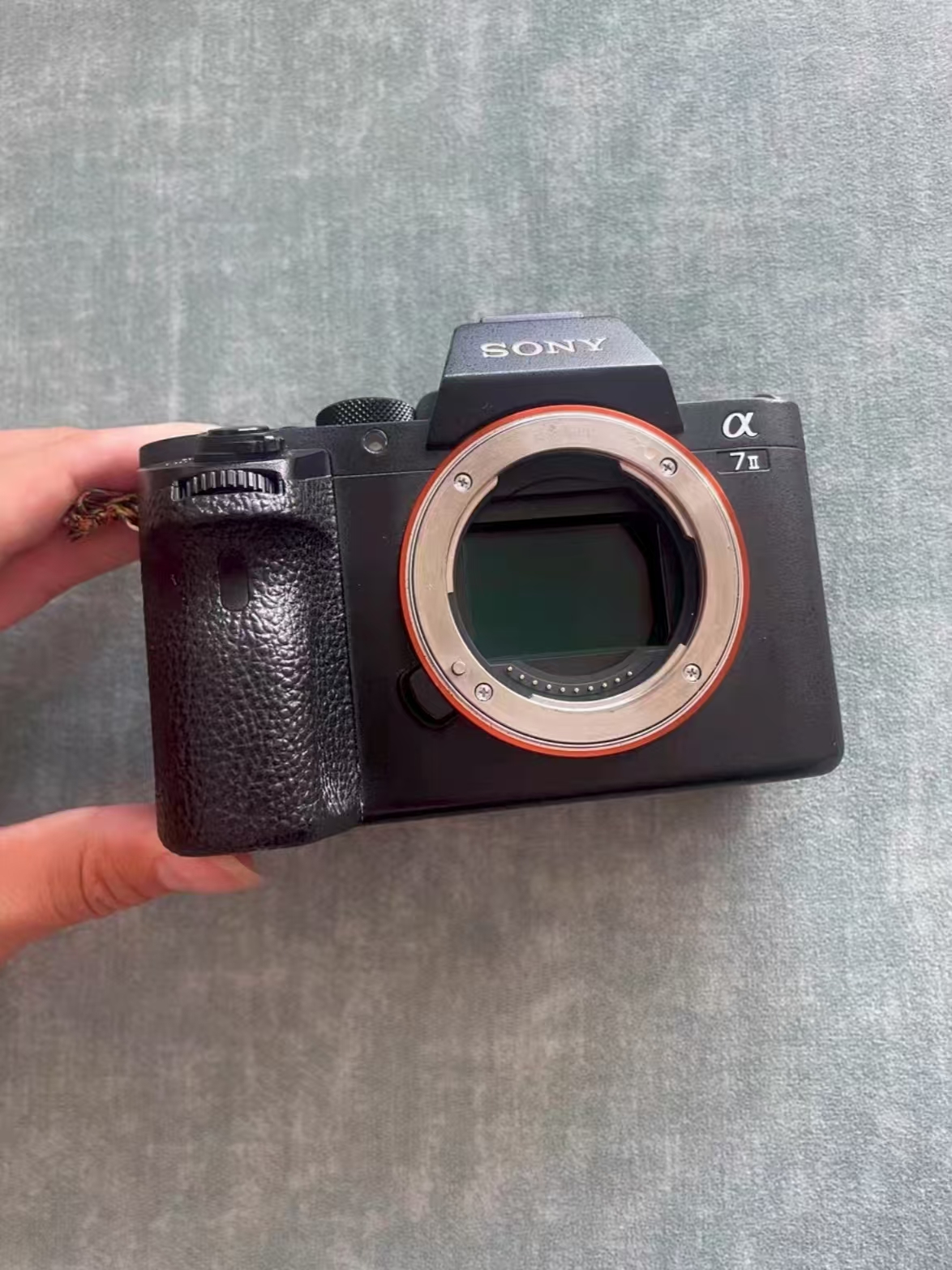 与索尼 A7II 的30天恋人日记