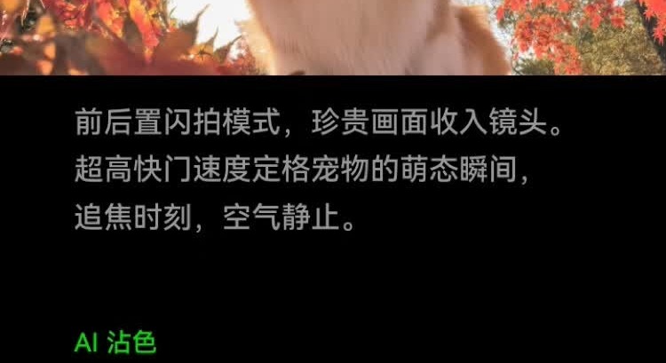 识货商品介绍图