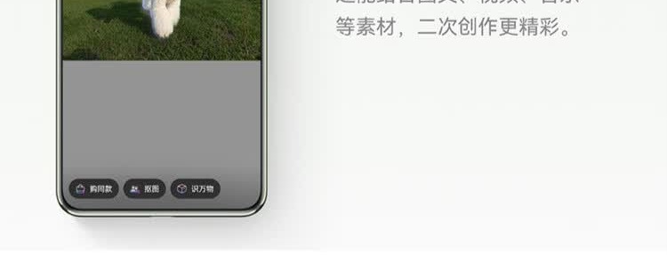 识货商品介绍图