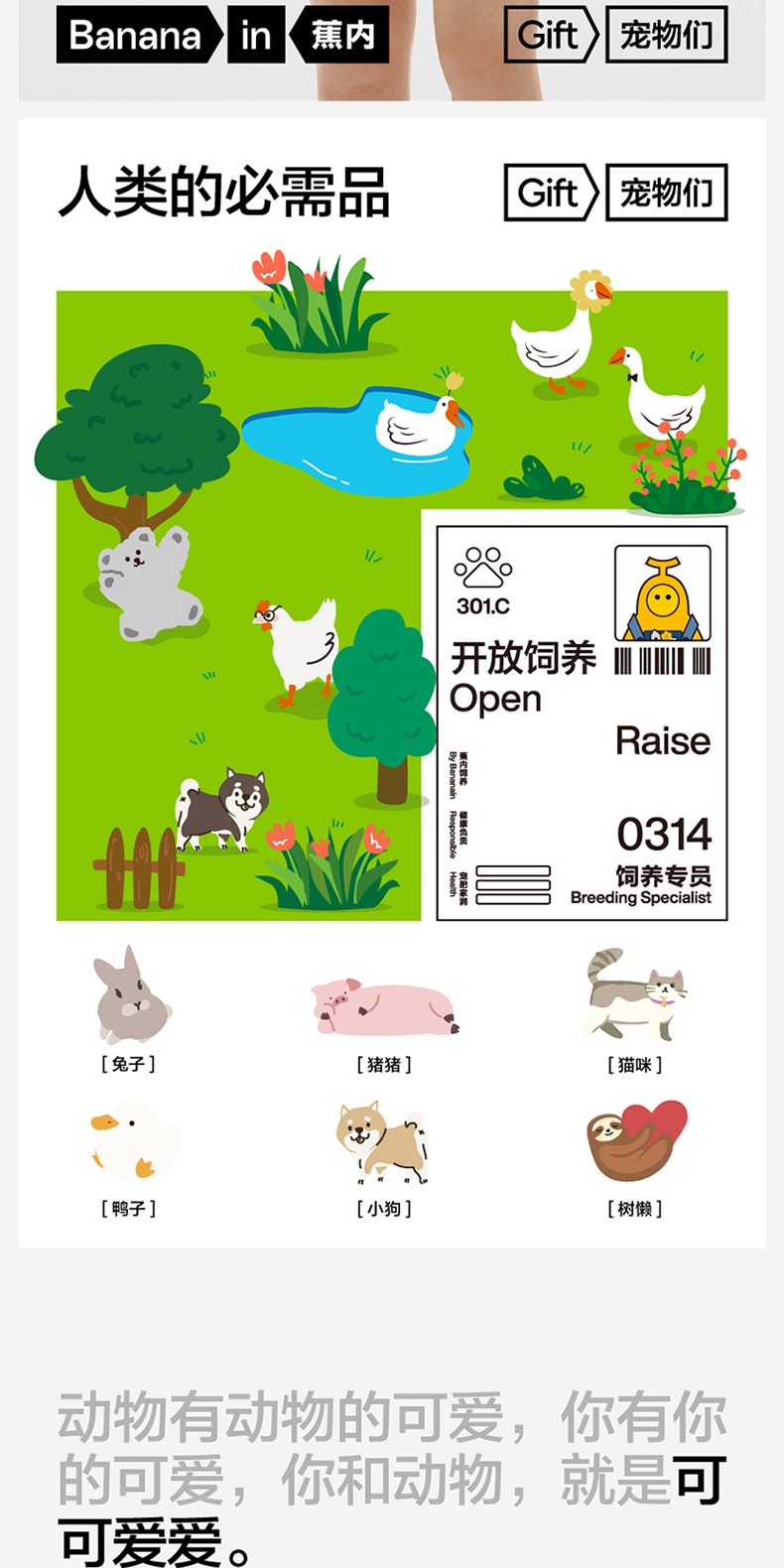 识货商品介绍图