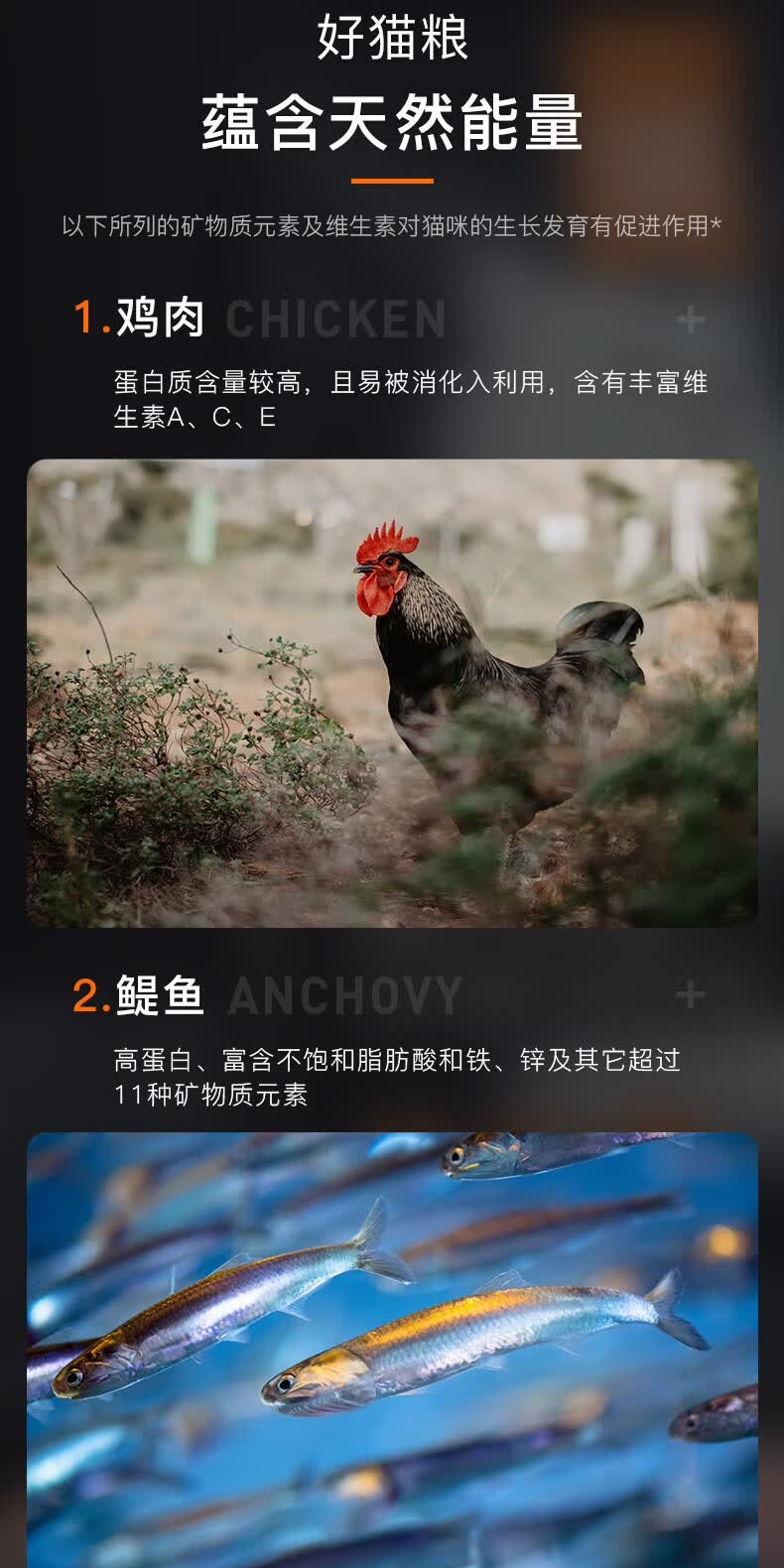 识货商品介绍图