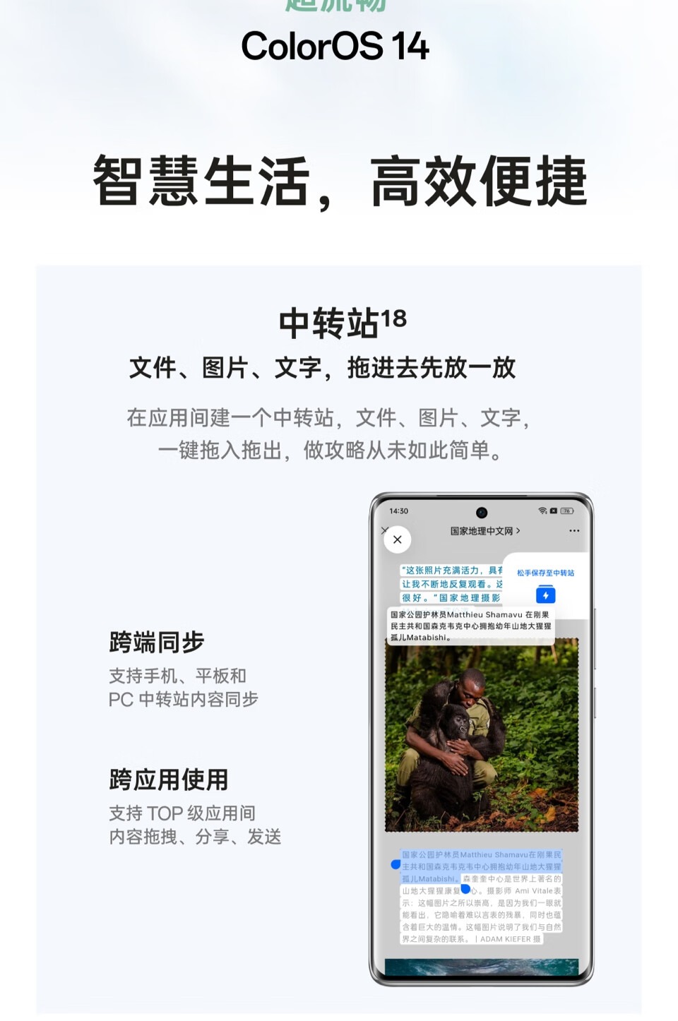 识货商品介绍图