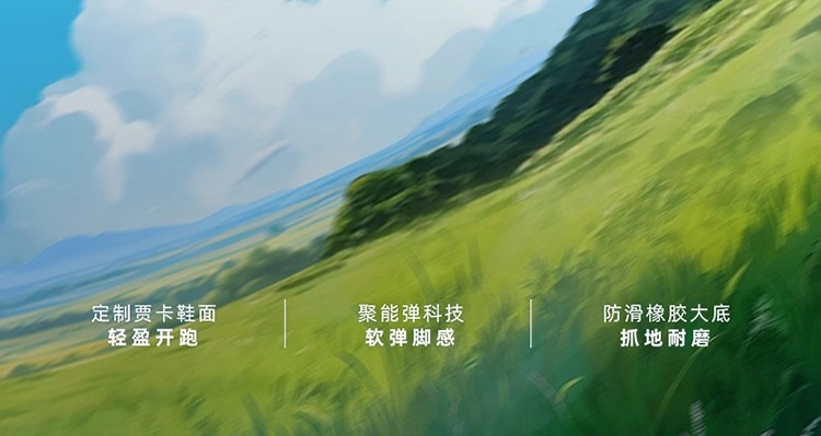 识货商品介绍图