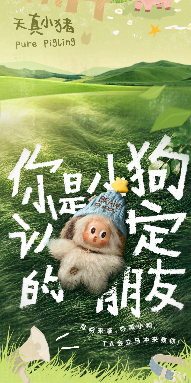 识货商品介绍图