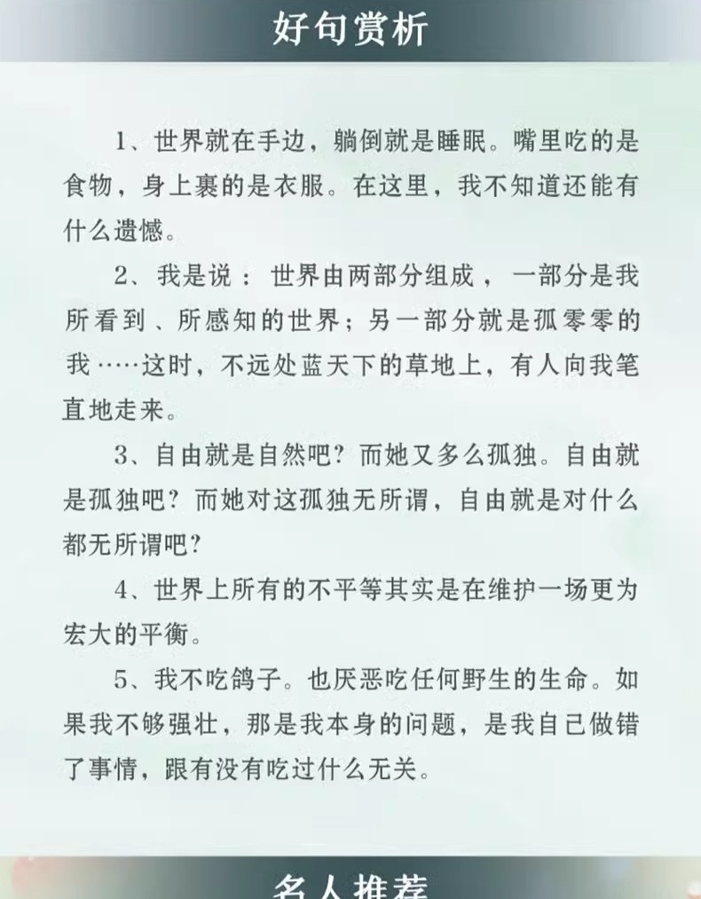 识货商品介绍图