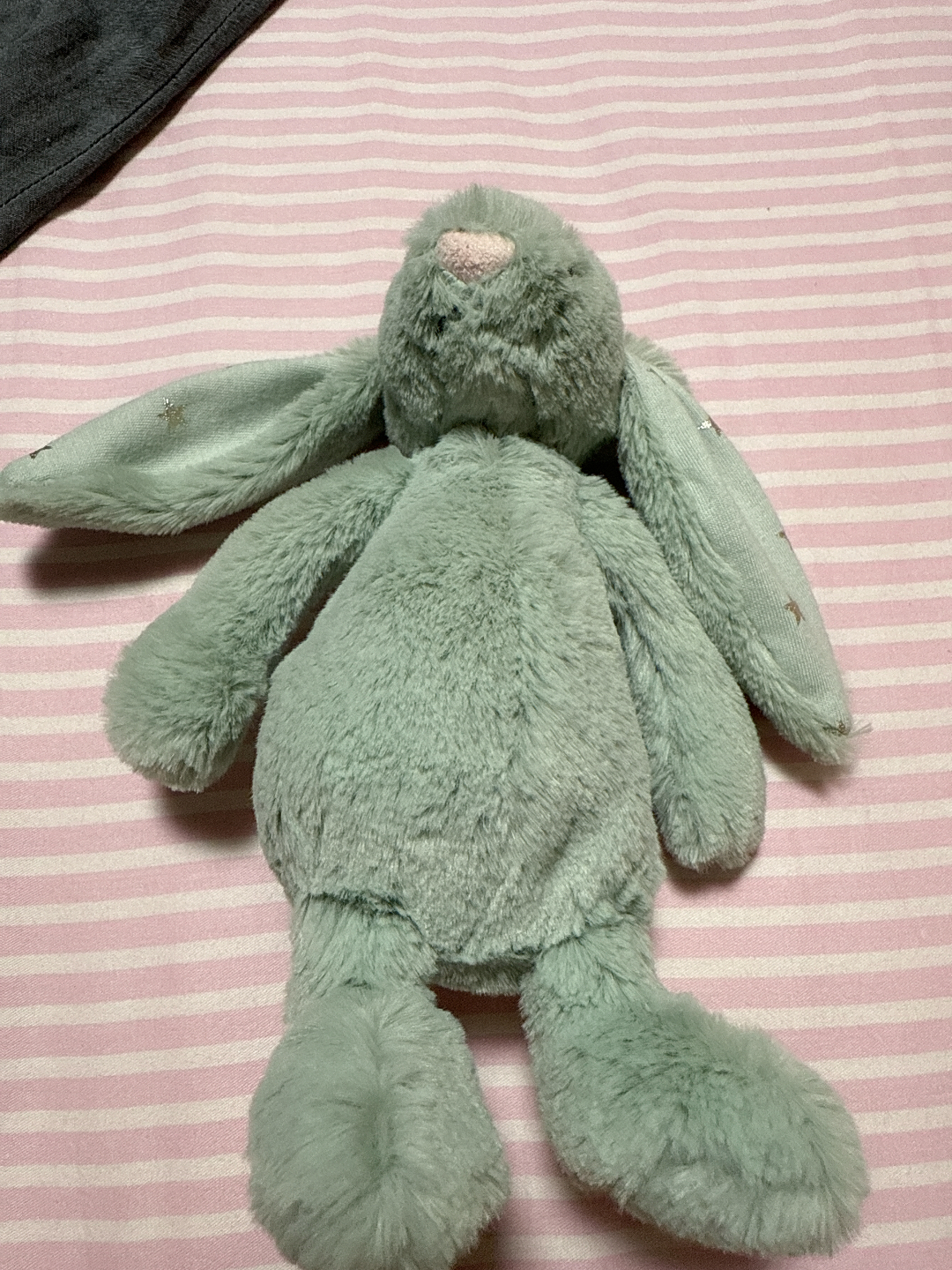 新兔子到家，治愈心情小确幸🐰