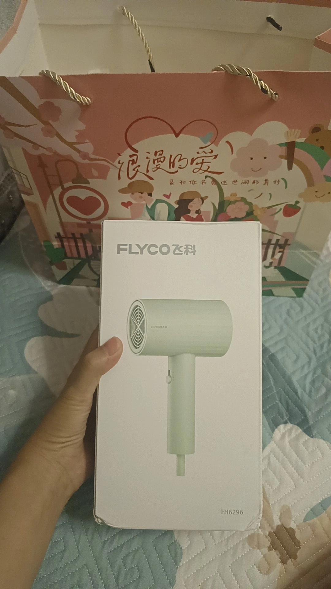 魅力吹发，飞科 FH6296