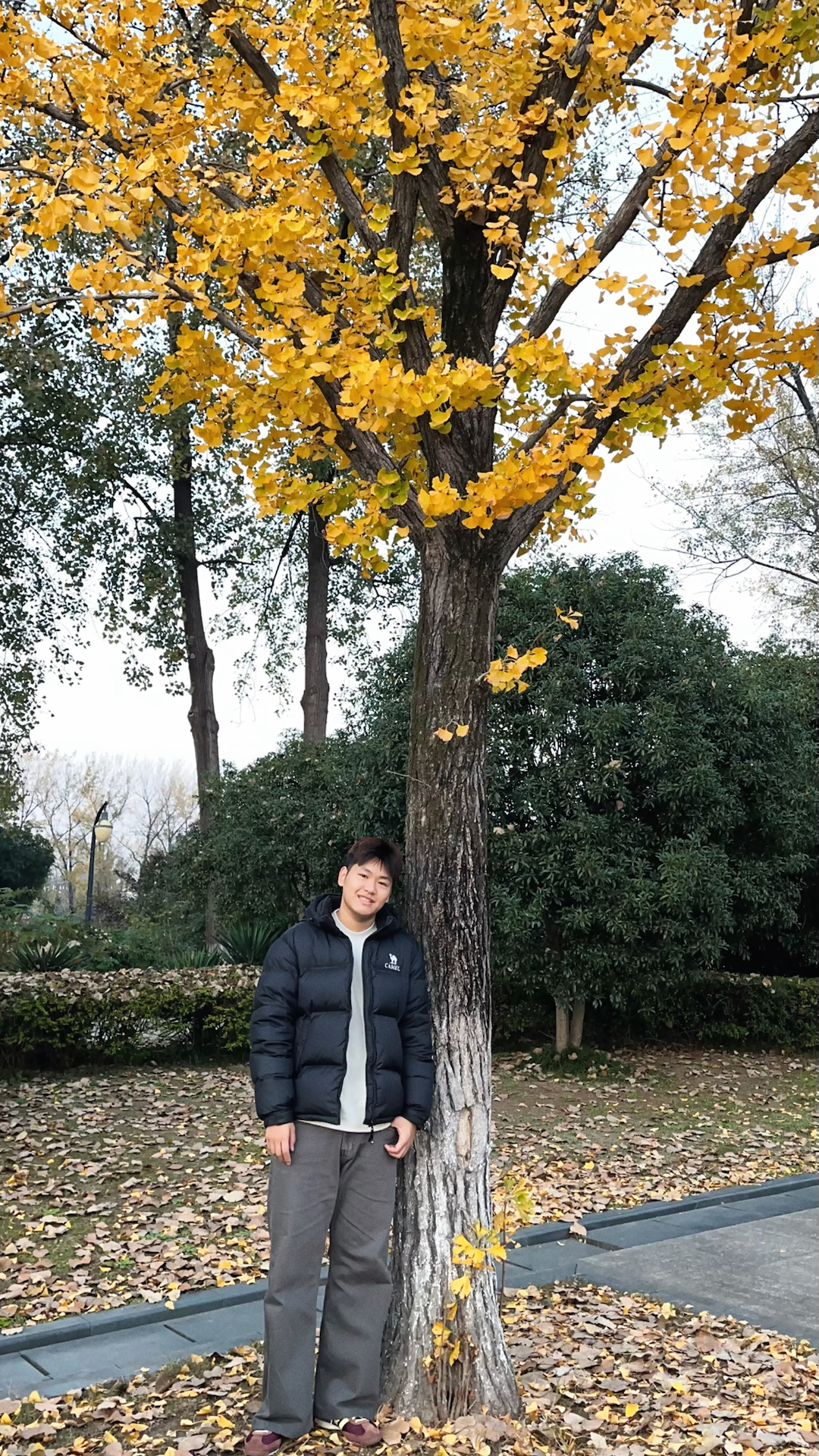 银杏氛围感穿搭，这件外套太加分🍂