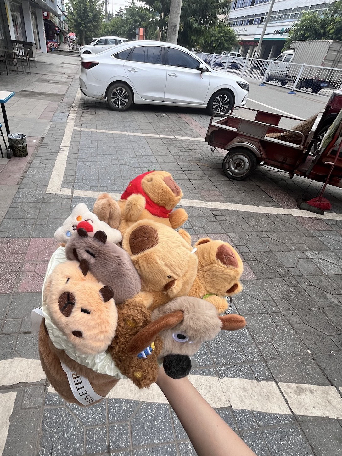 蓝白城堡卡皮巴拉花束，期望落空