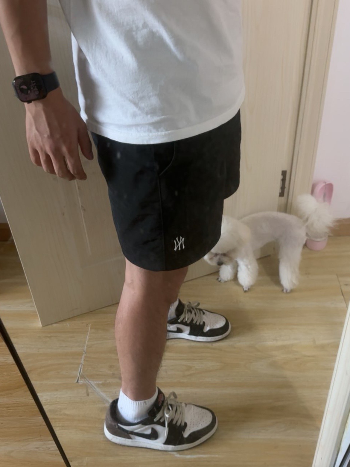 夏日出游短裤新选择👖