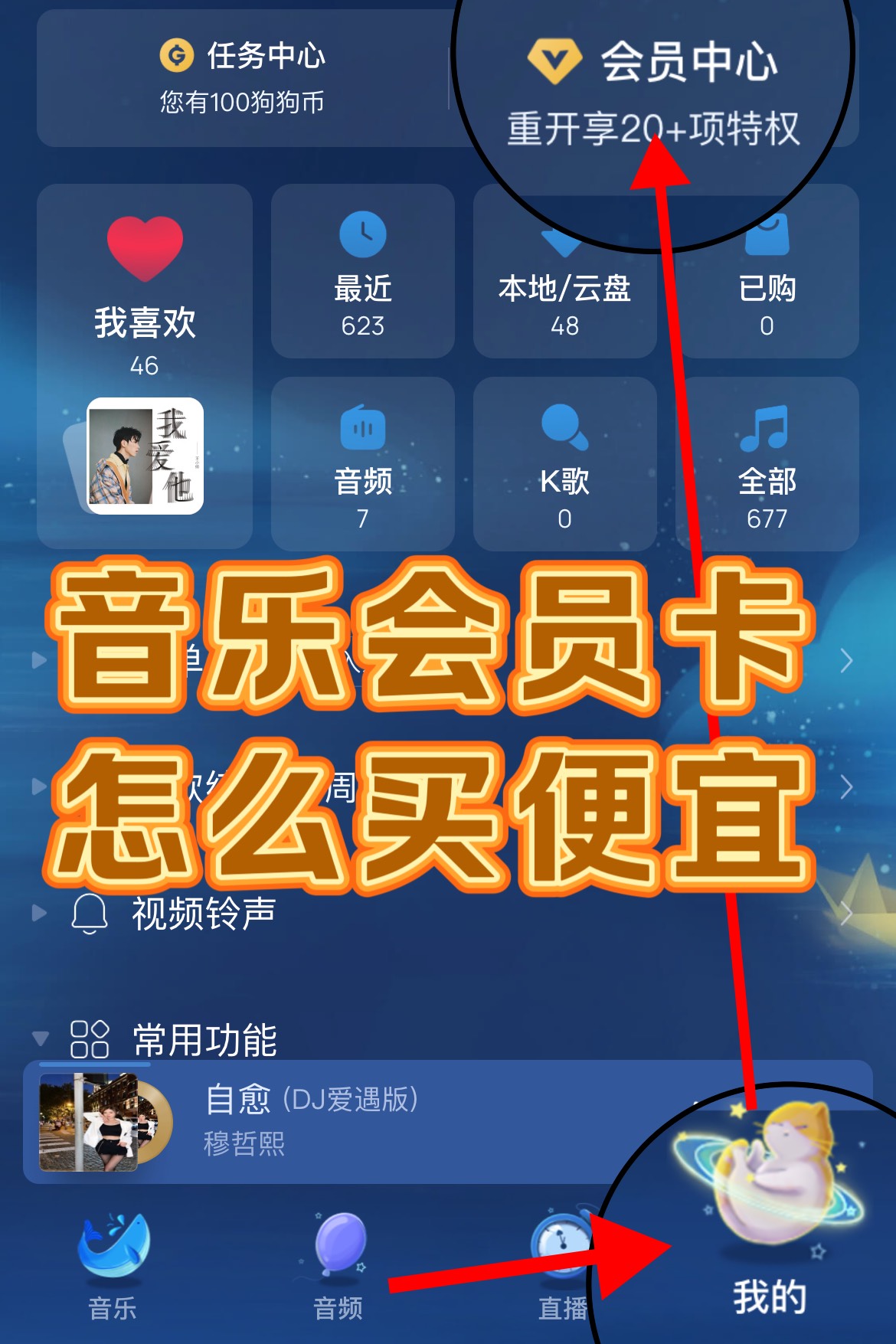 音乐🎶会员，开启你的音乐之旅