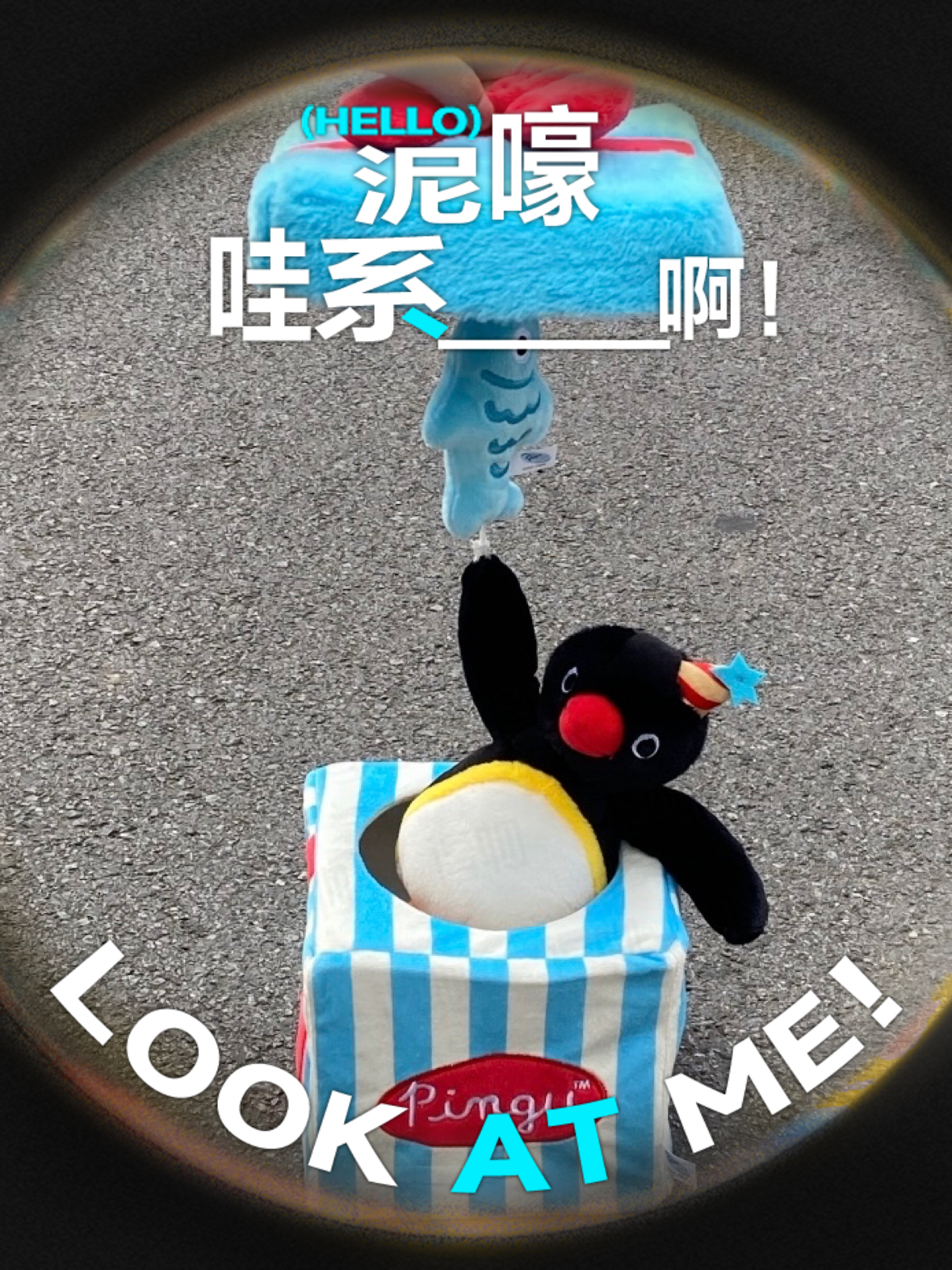 打开礼盒的瞬间，我掉进了 Pingu 的治愈世界！