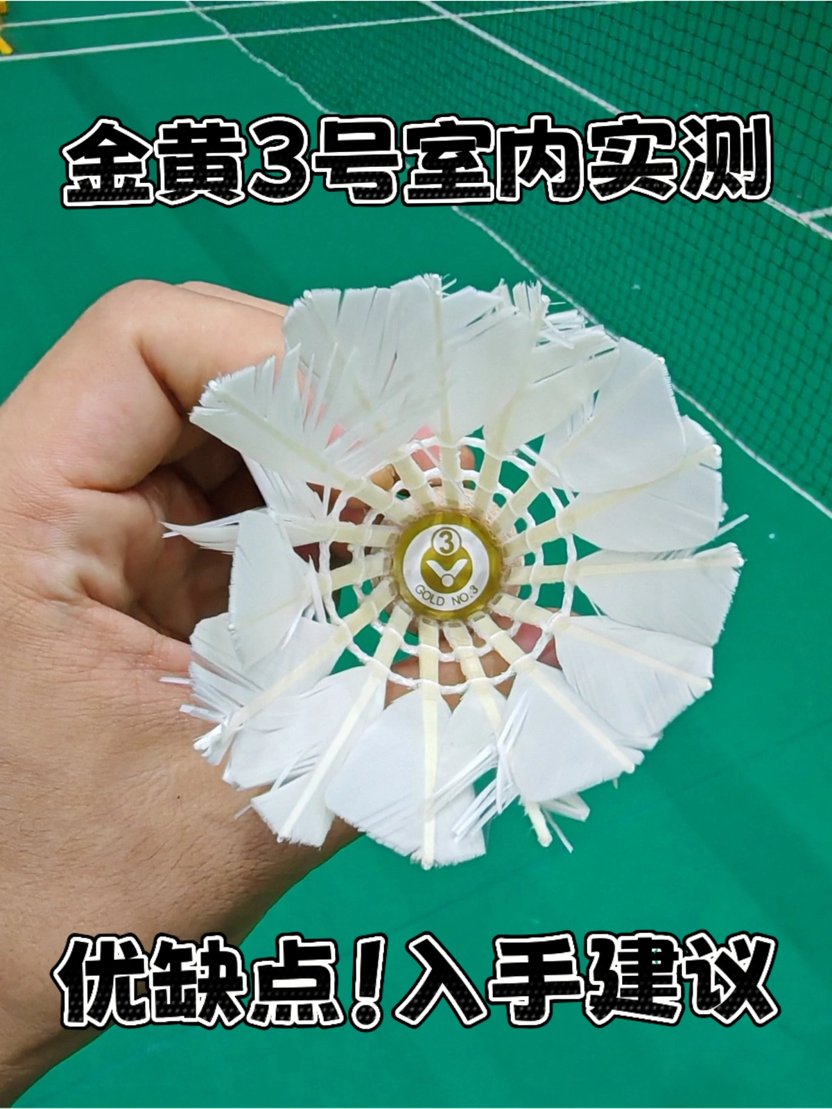 金黄3号球！室内实测！入手建议！