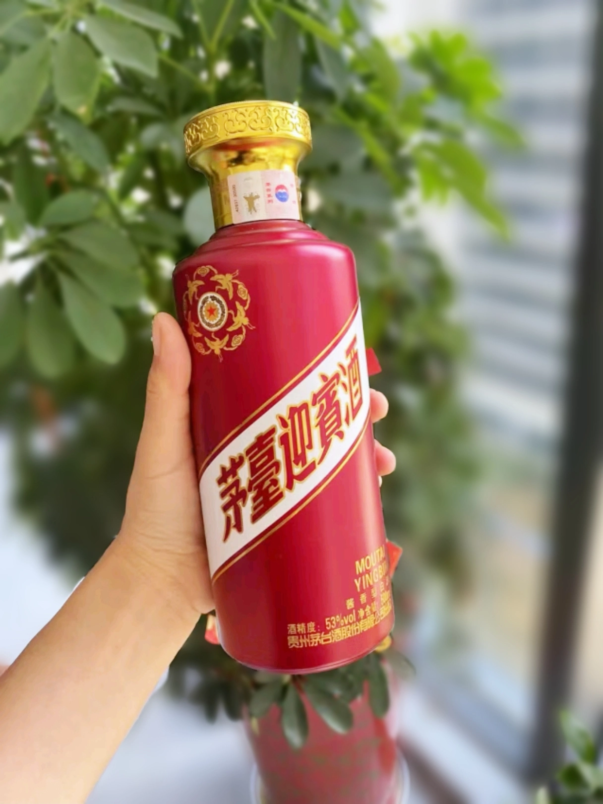 百元档白酒选这几款不踩雷🍶