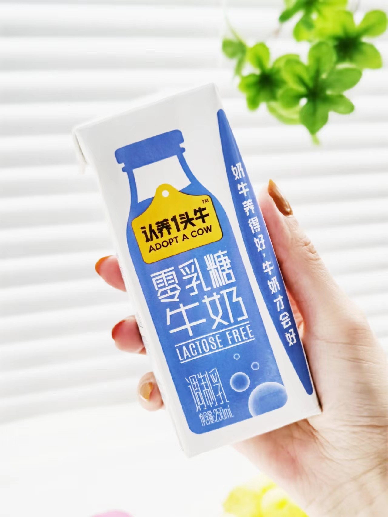 好喝的零乳糖牛奶🥛