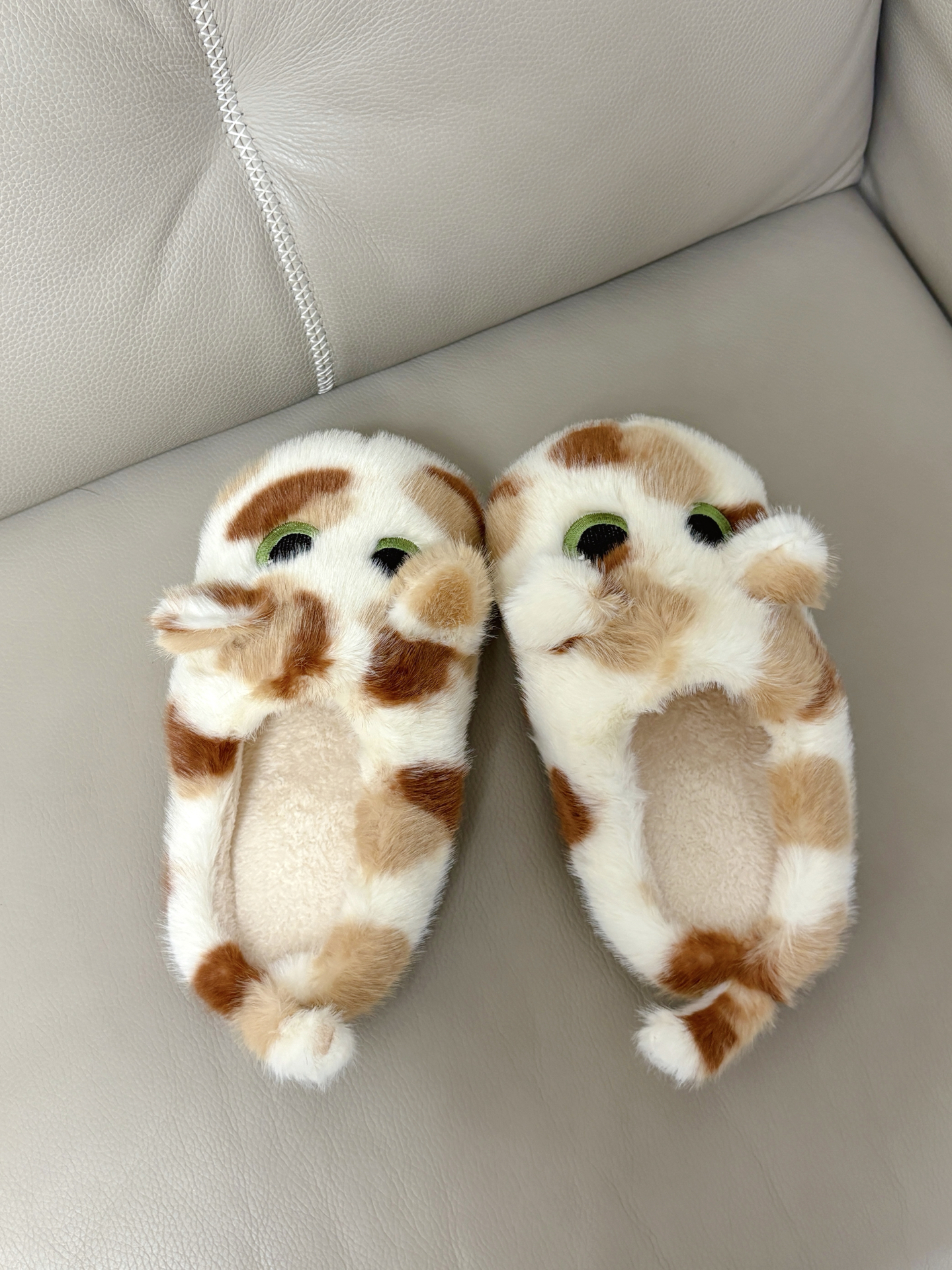 🐱糟糕!露出猫脚了ฅ^•ﻌ•^ฅ