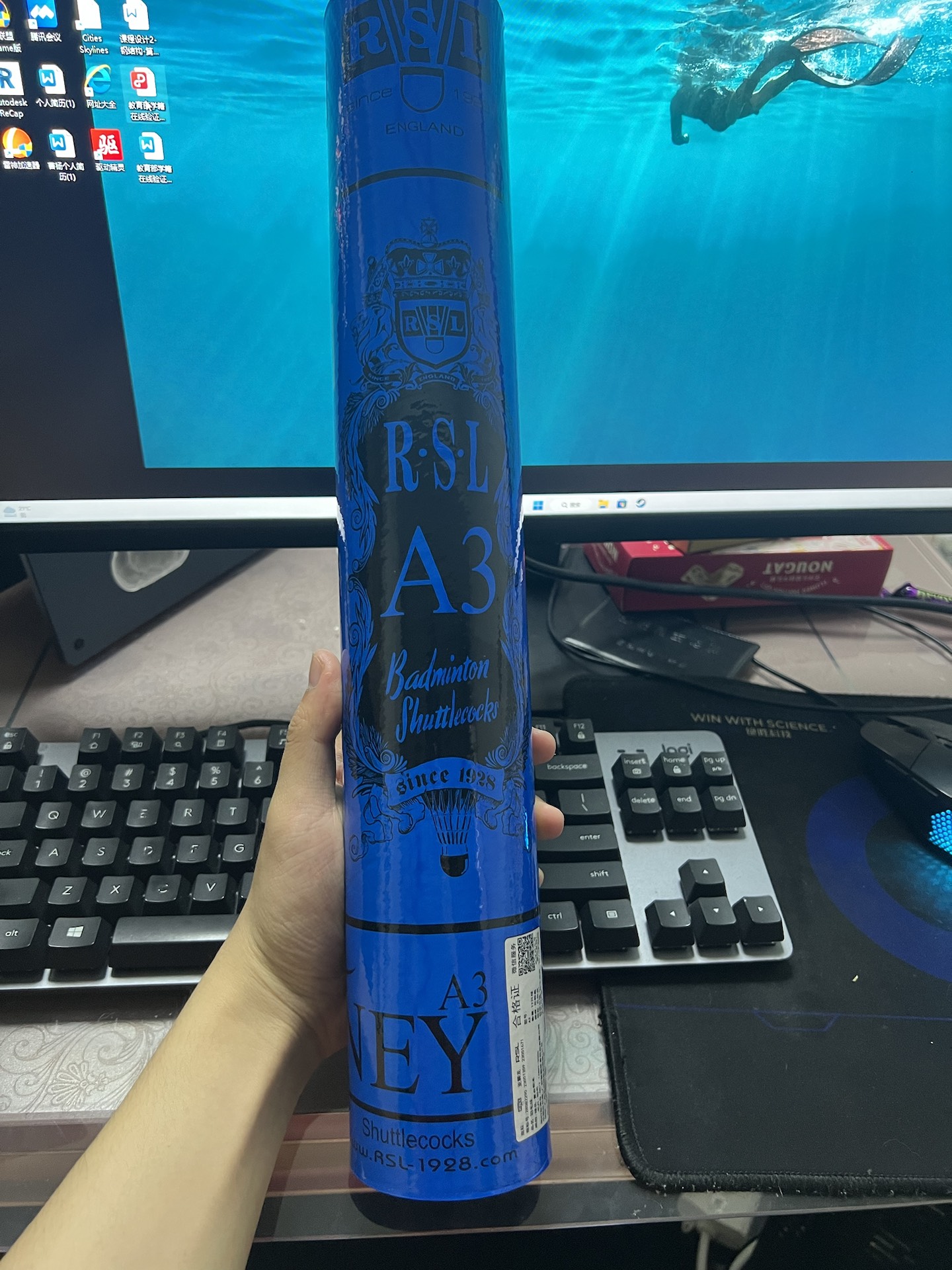 羽毛球🏸️