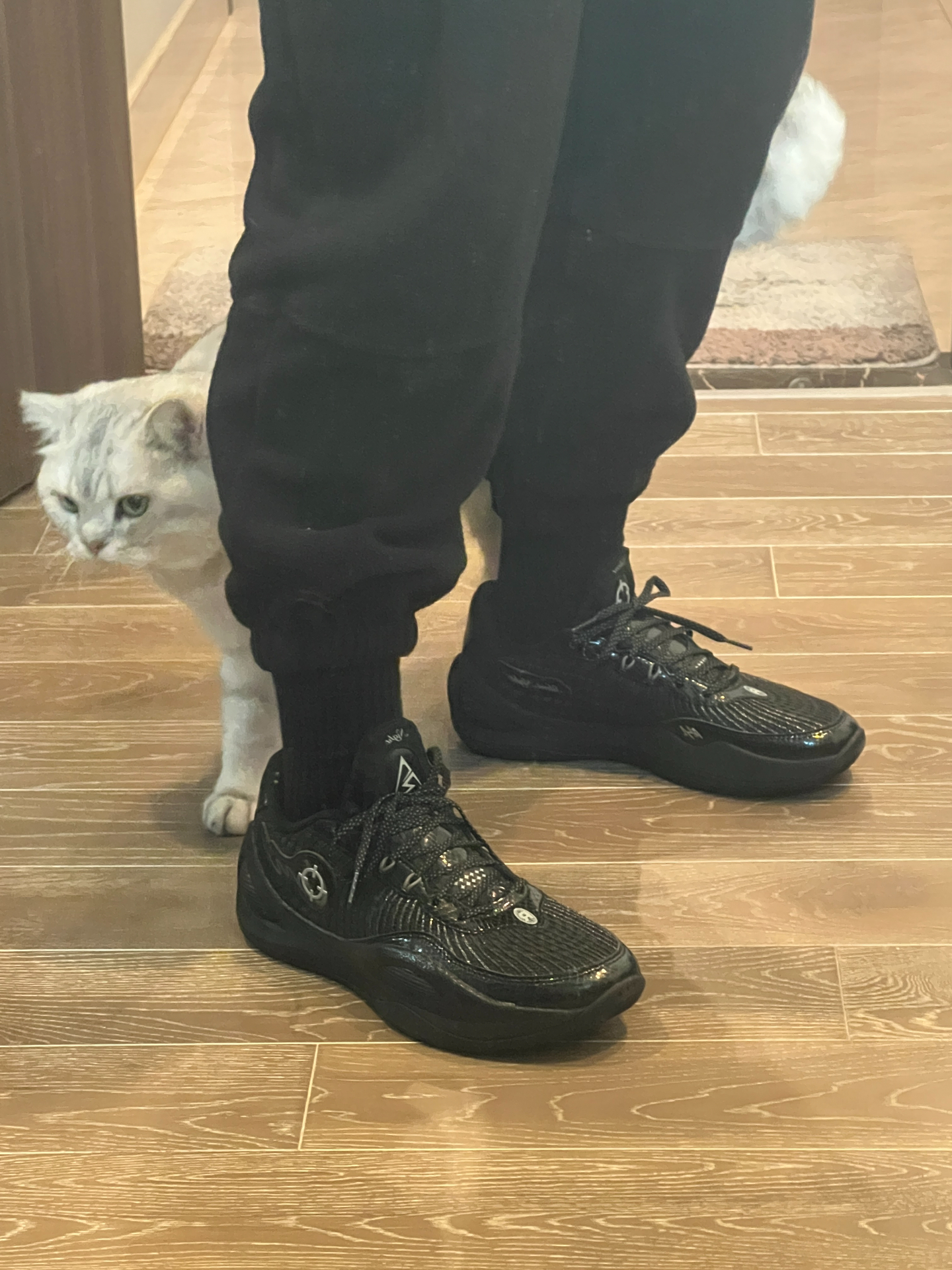 还是顶不住黑色的诱惑