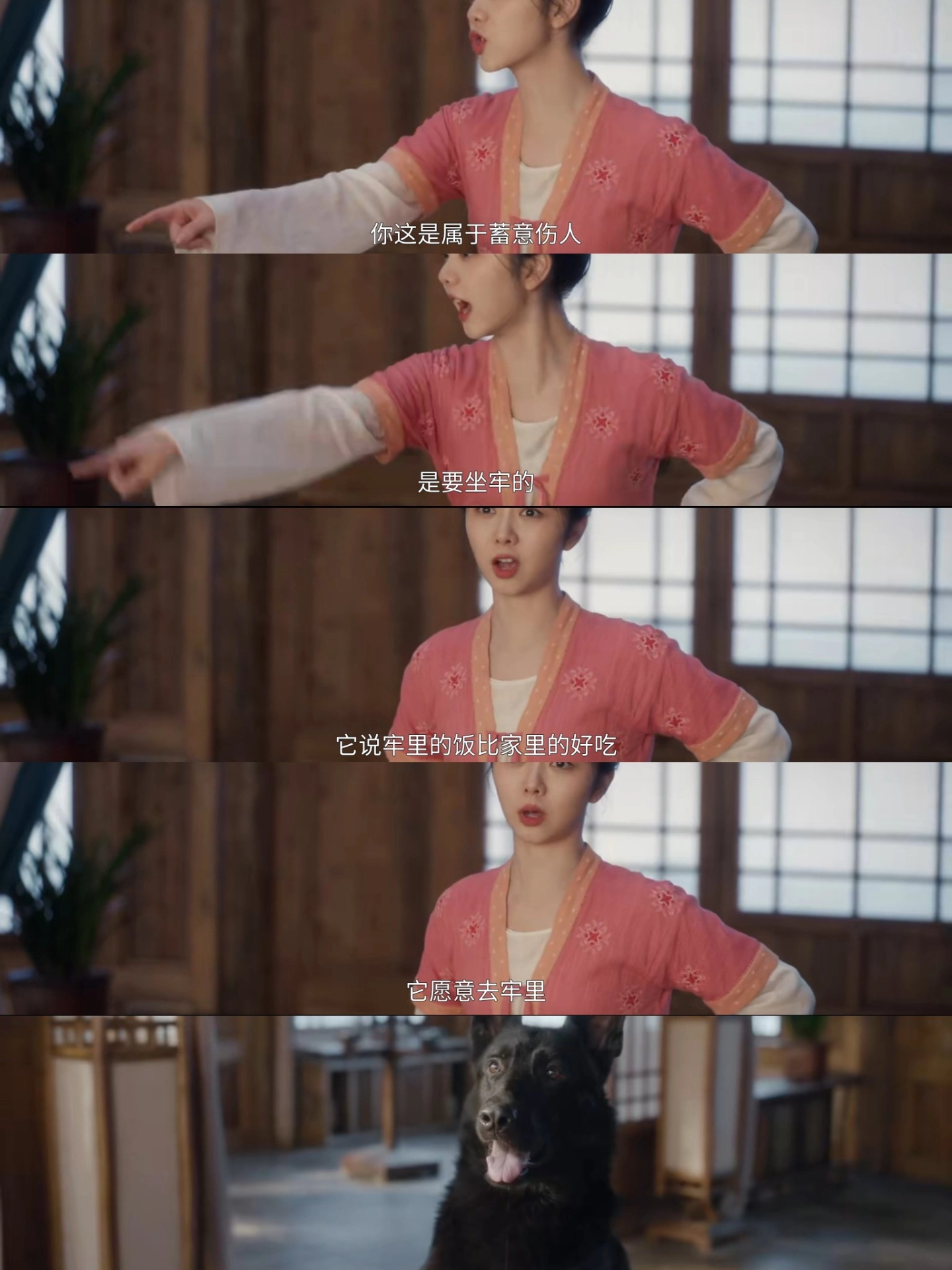 妈耶❗新剧来袭❗这是什么王炸爽剧