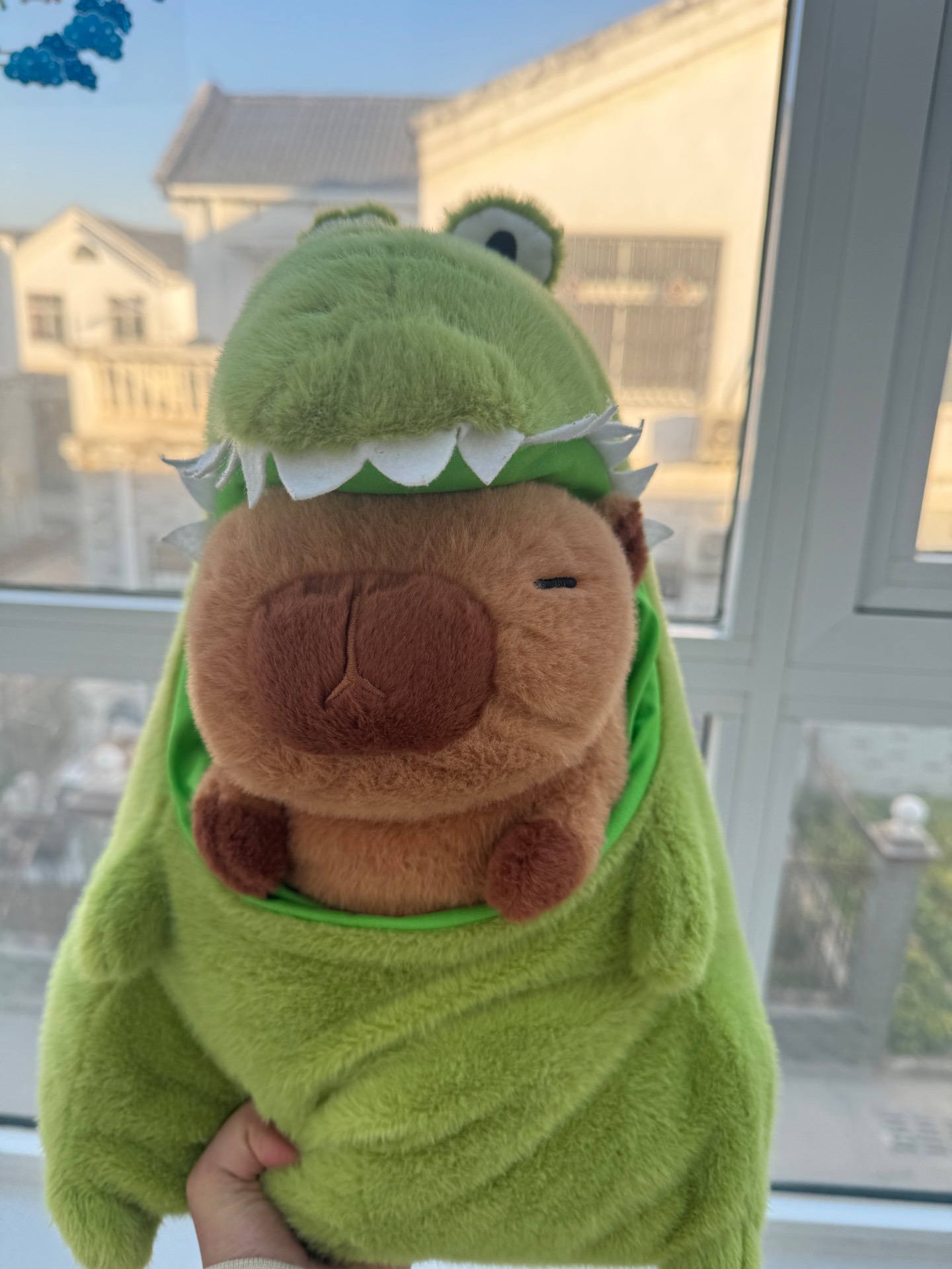 被这对 CP 萌哭！塔克贝贝水豚鳄鱼毛绒太治愈🐊✨