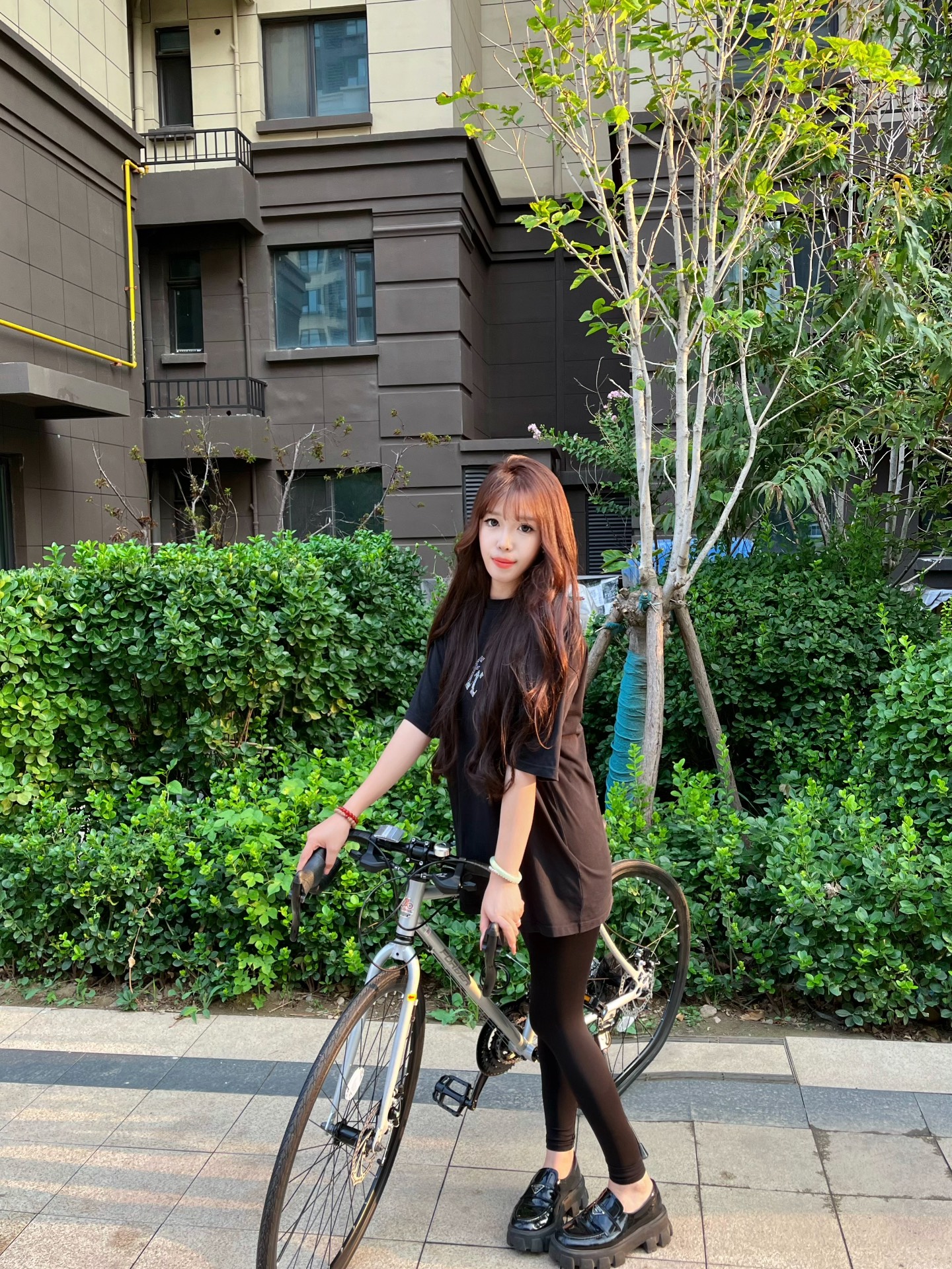 永久蓝图，公路上的风之伴侣