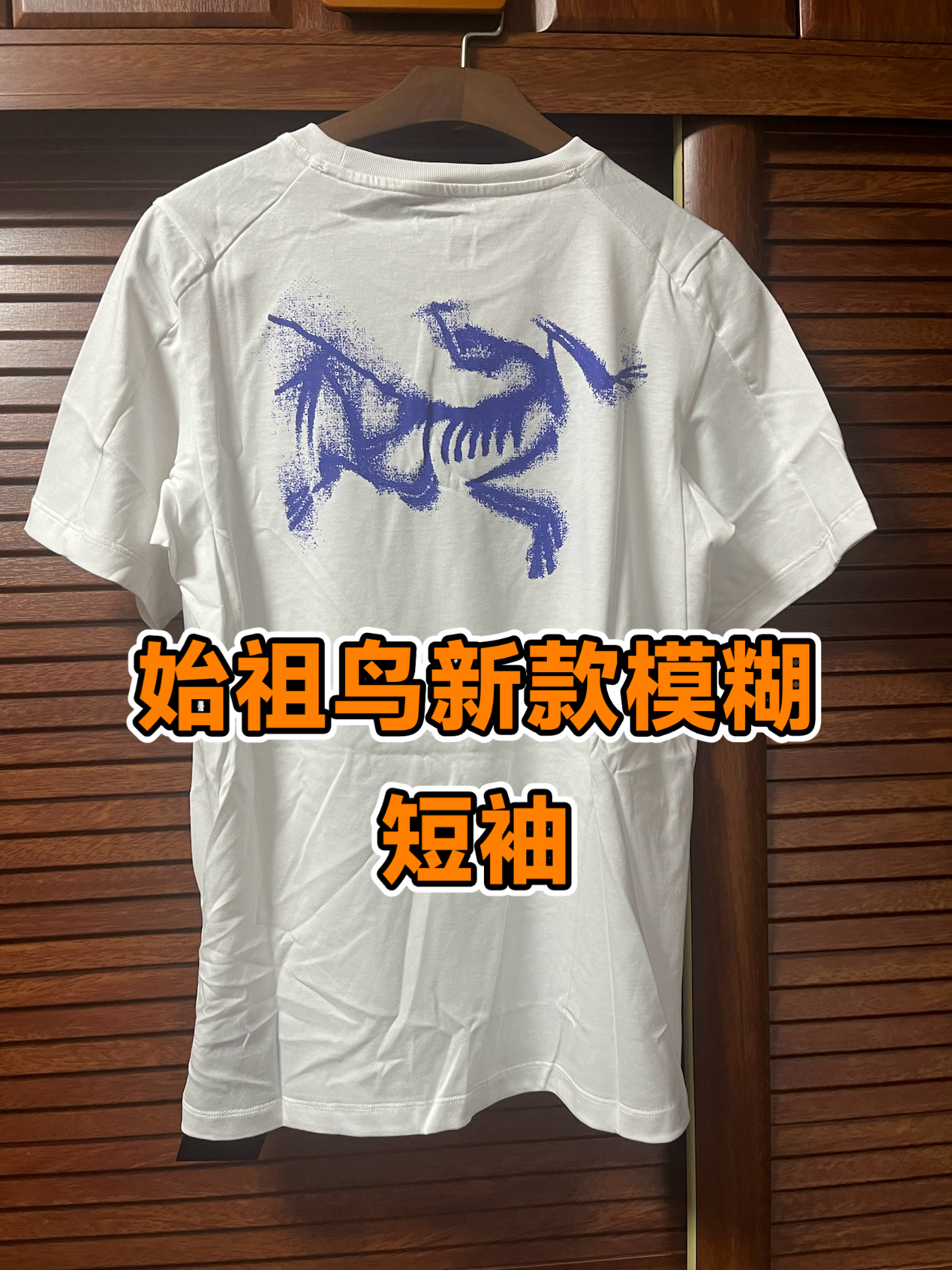 邂逅始祖鸟，解锁夏日穿搭新宠