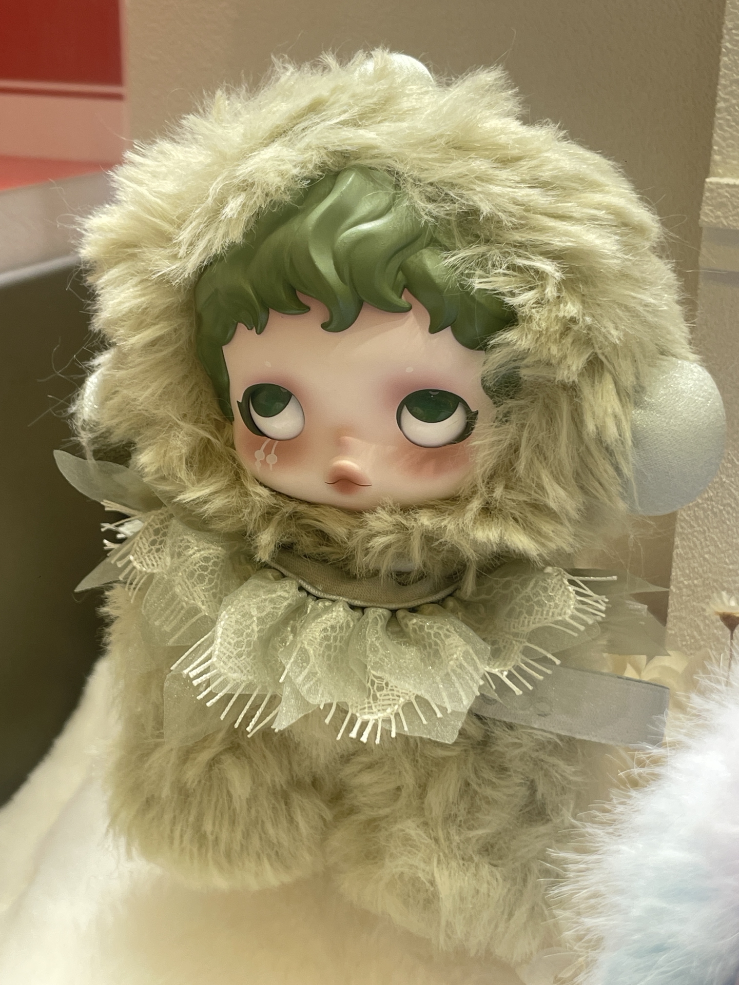 毛绒一抹绿，撞进夏日怀里