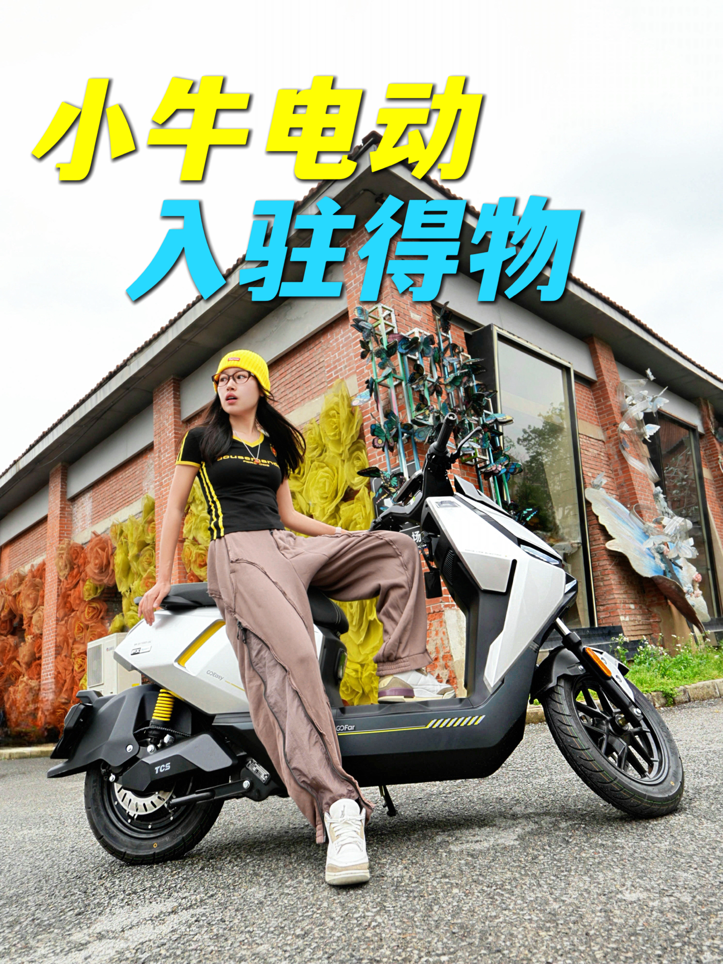 女生也无法拒绝的小牛
