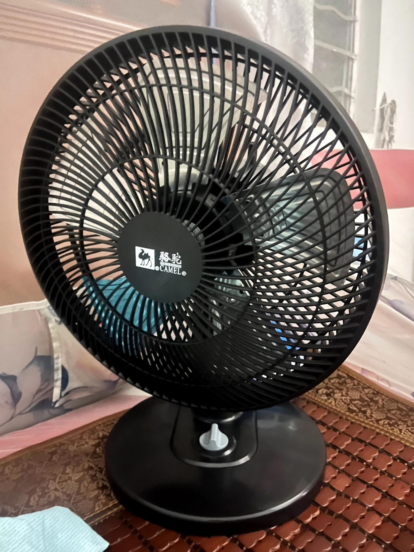 这个夏天 有它好“清凉”！