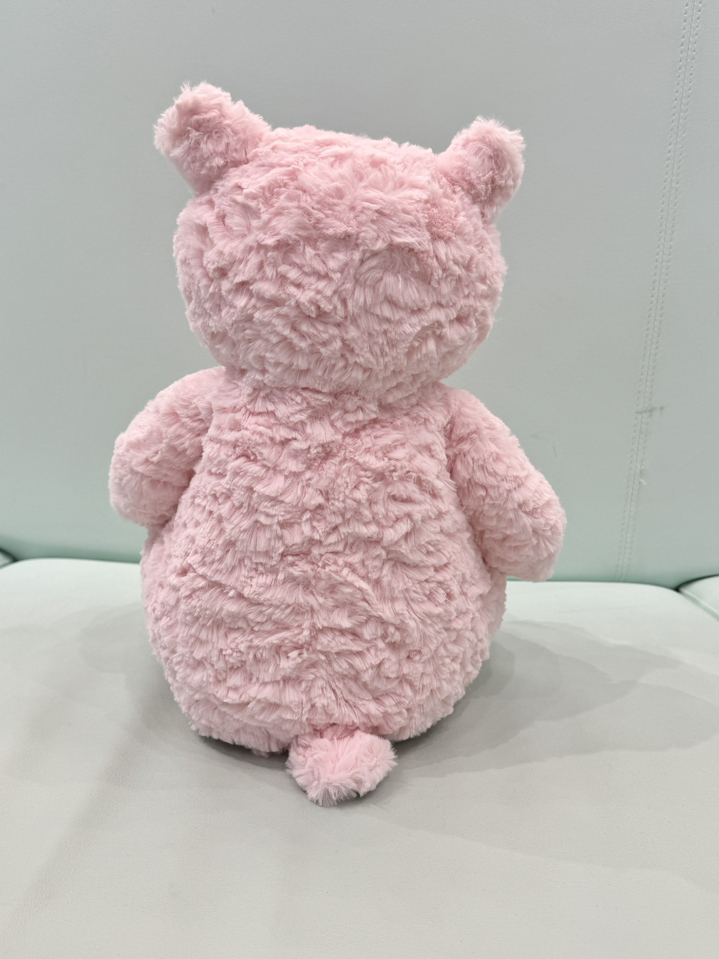 软糯粉熊可爱加倍🐻