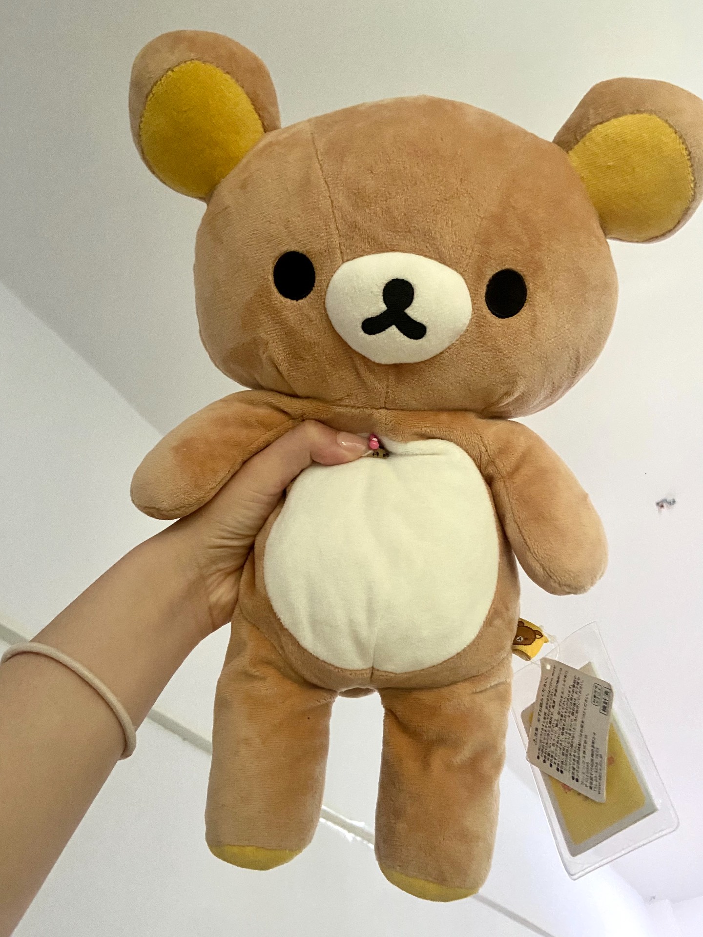 谁家小熊这么善解人意呀