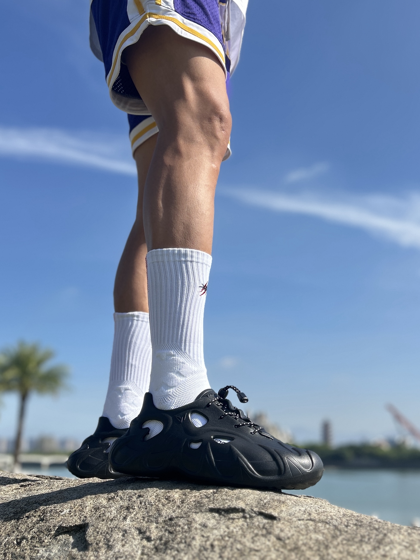 🌊踏浪者宣言：借獠牙🐍把海浪钉在脚下👣