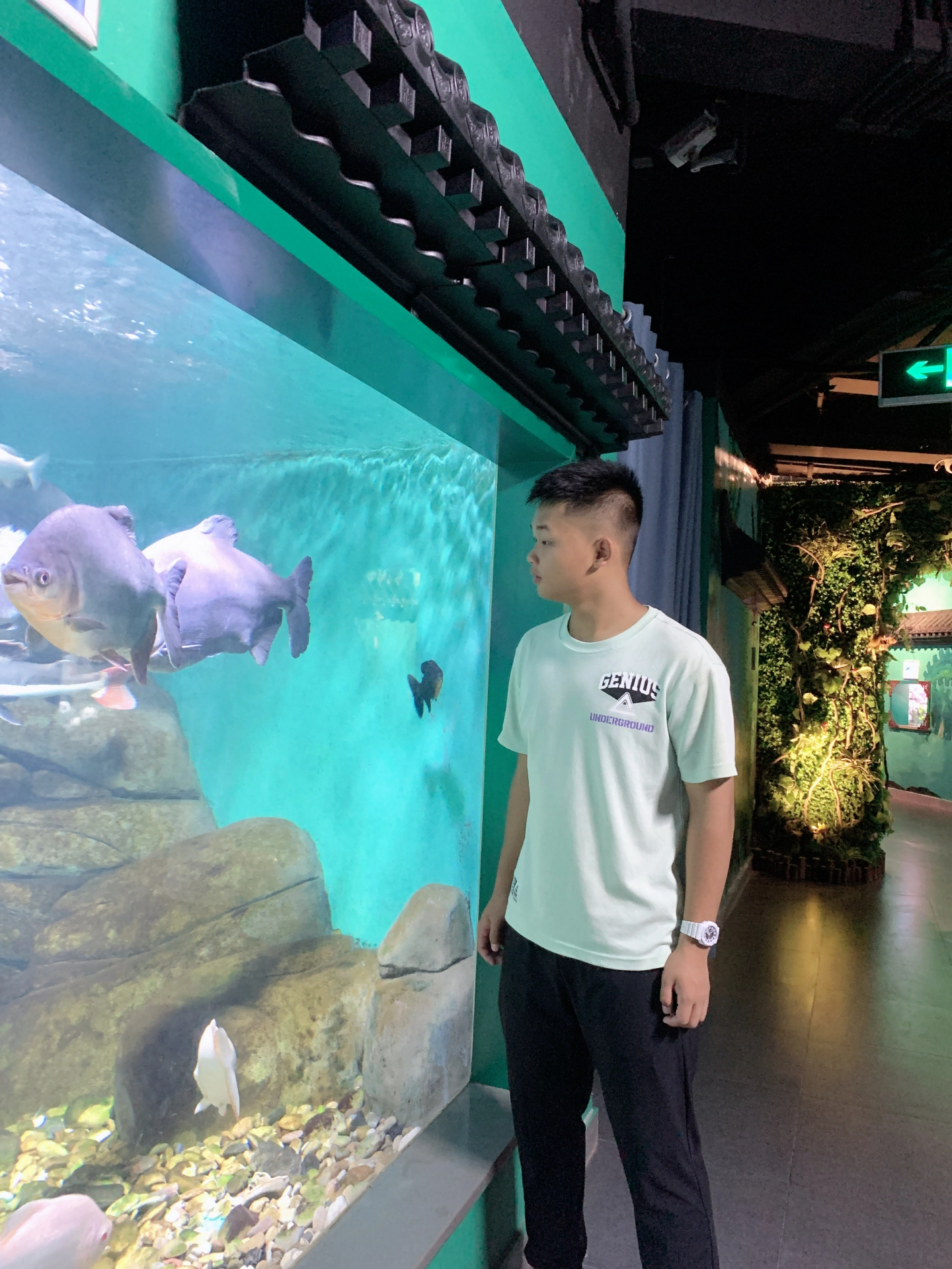 运动休闲党快冲这条神裤