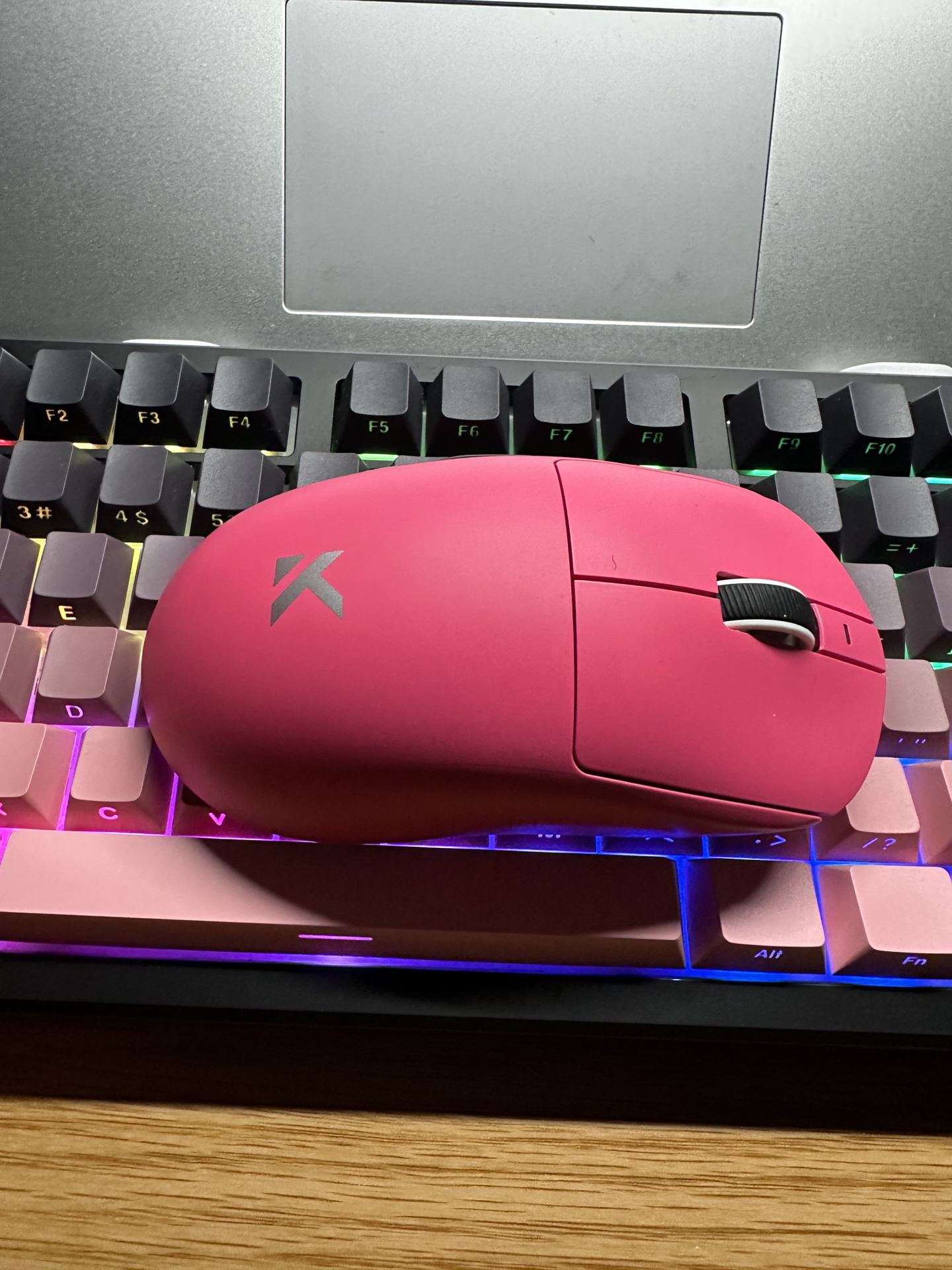 学生党和办公族的鼠标新宠🌟