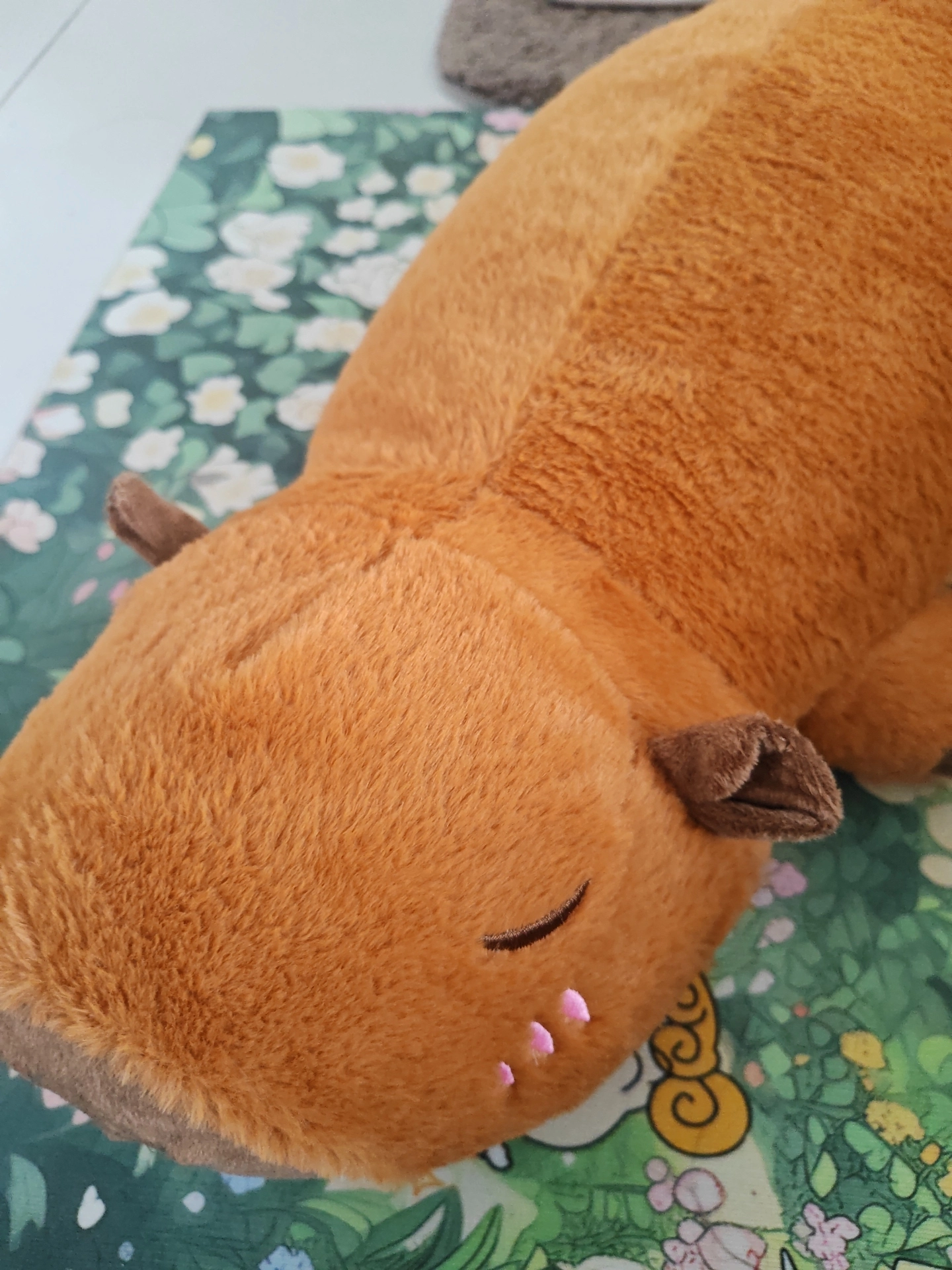 谁能拒绝软乎乎的大可爱