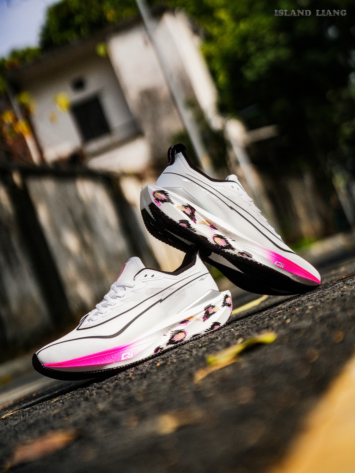 预定26年校园明星跑鞋❗在“无板竞训”标签下🏷️绝尘5的底气究竟是❓