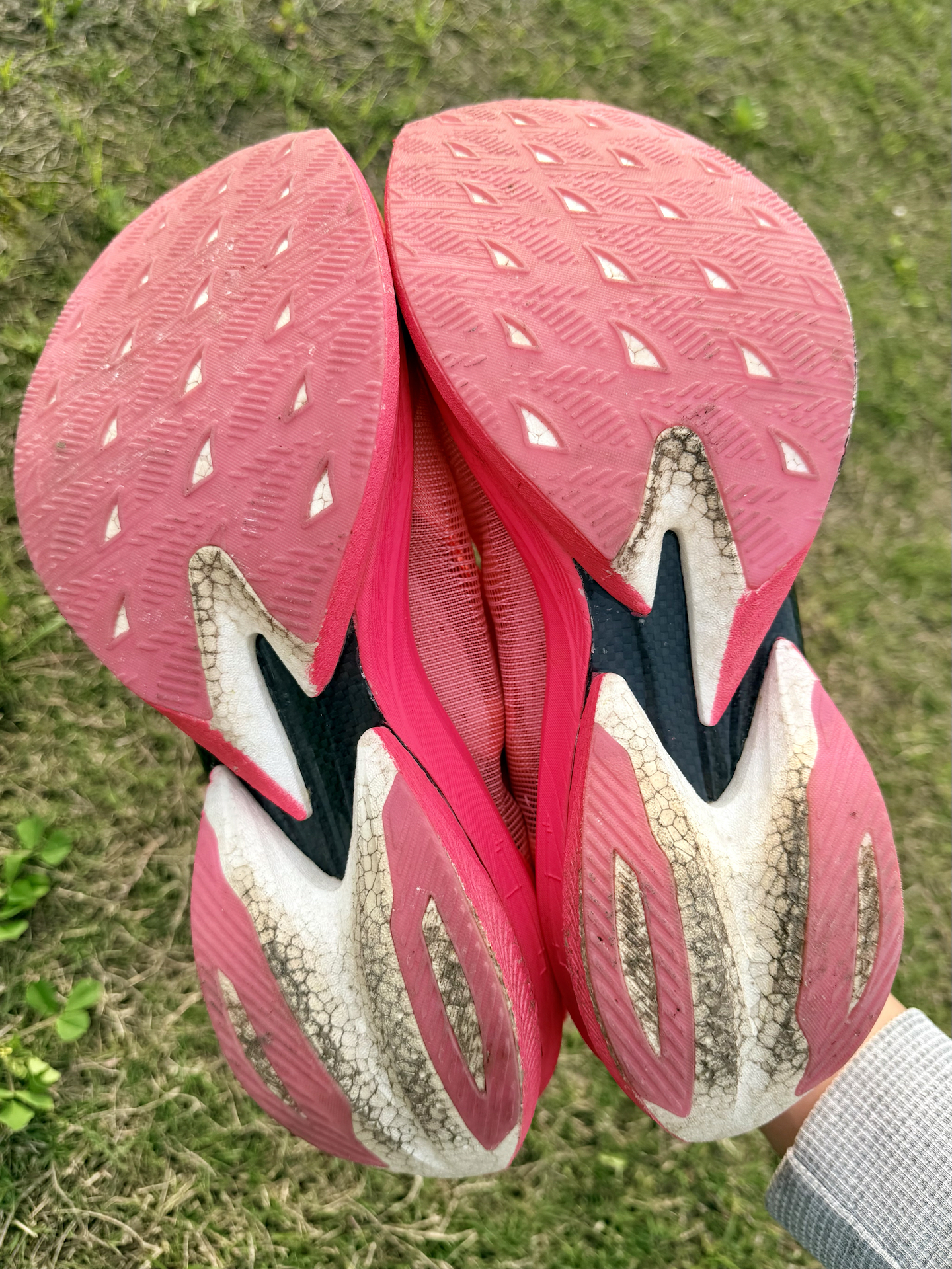 先立己身，再赴山海❗️