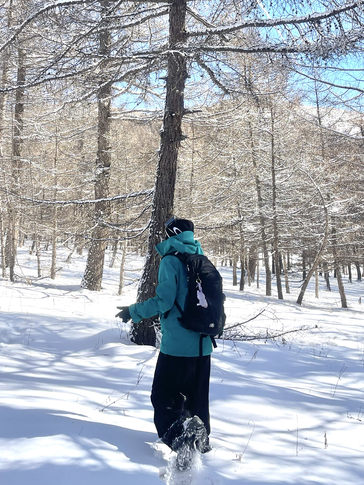 户外衣橱换新壳｜高海拔雪地实测 硬壳出行也够潮⛰️