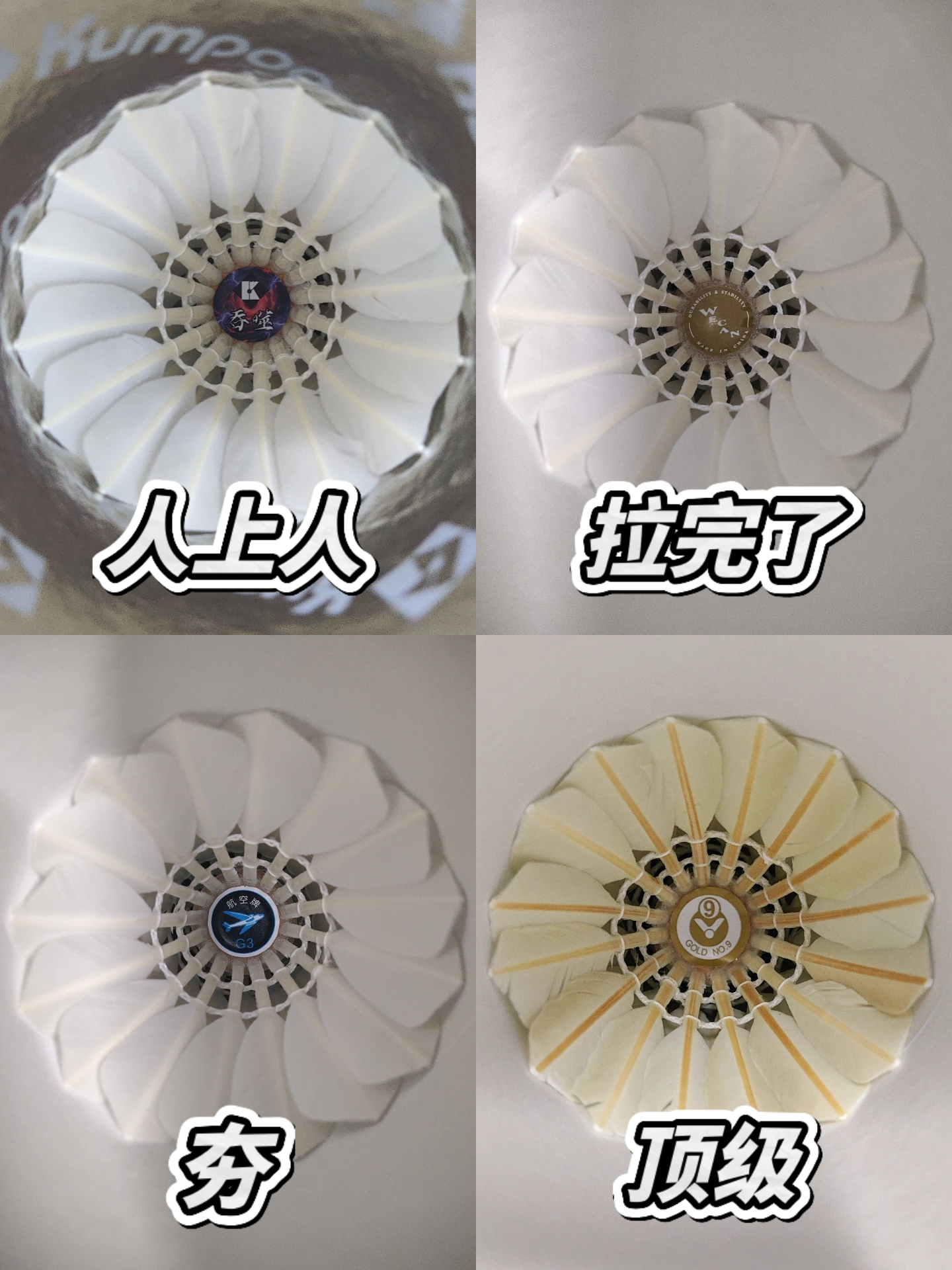 夏日羽毛球评级👀