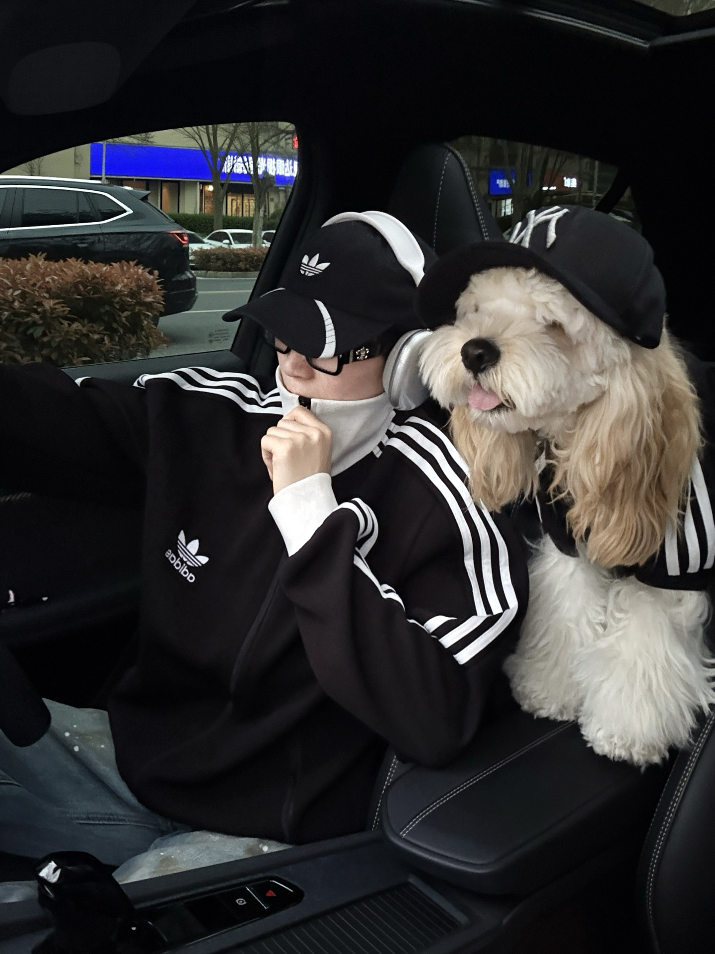 和狗狗一起fit check | 它比我还帅