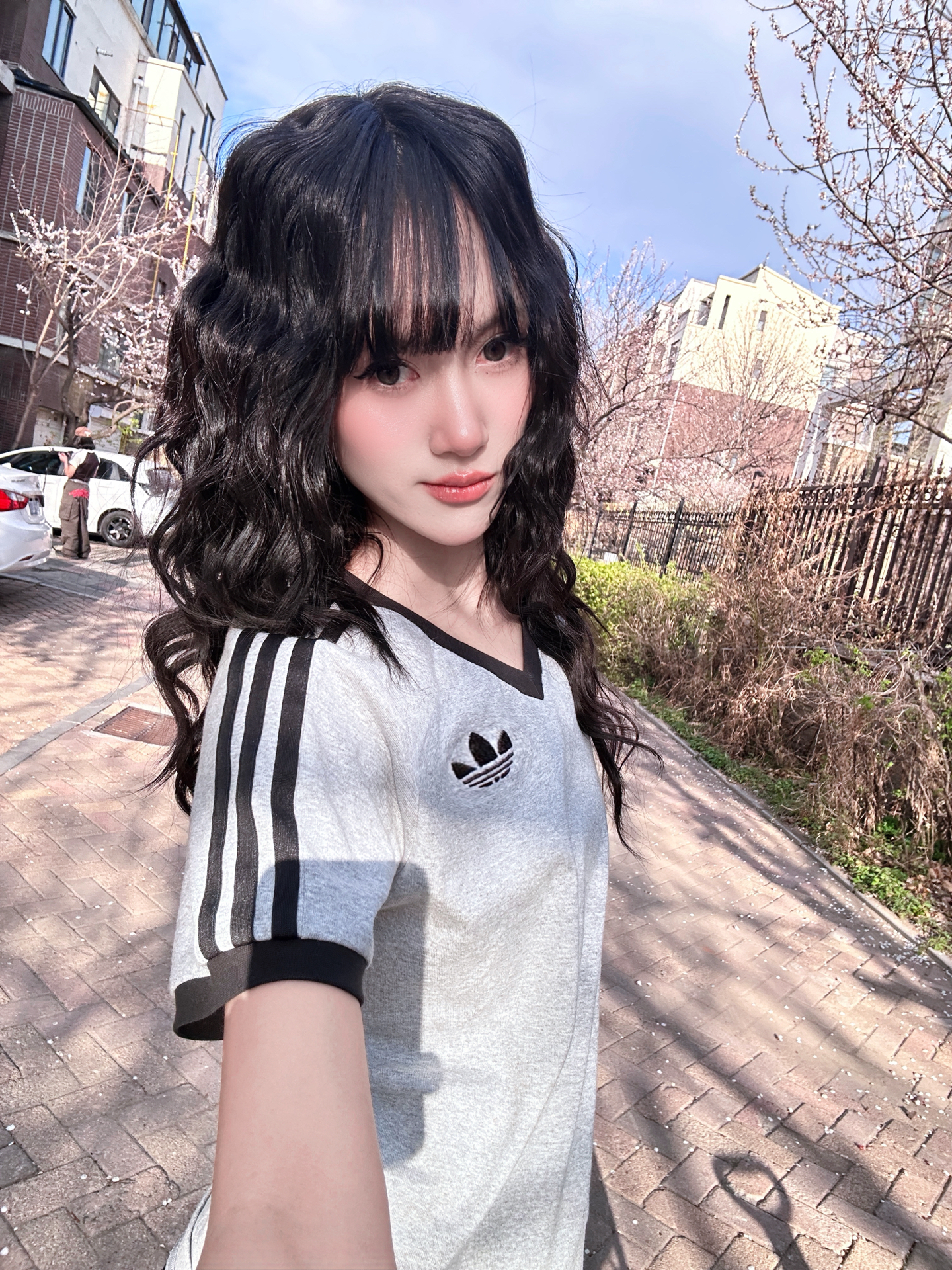 春日限定🩷