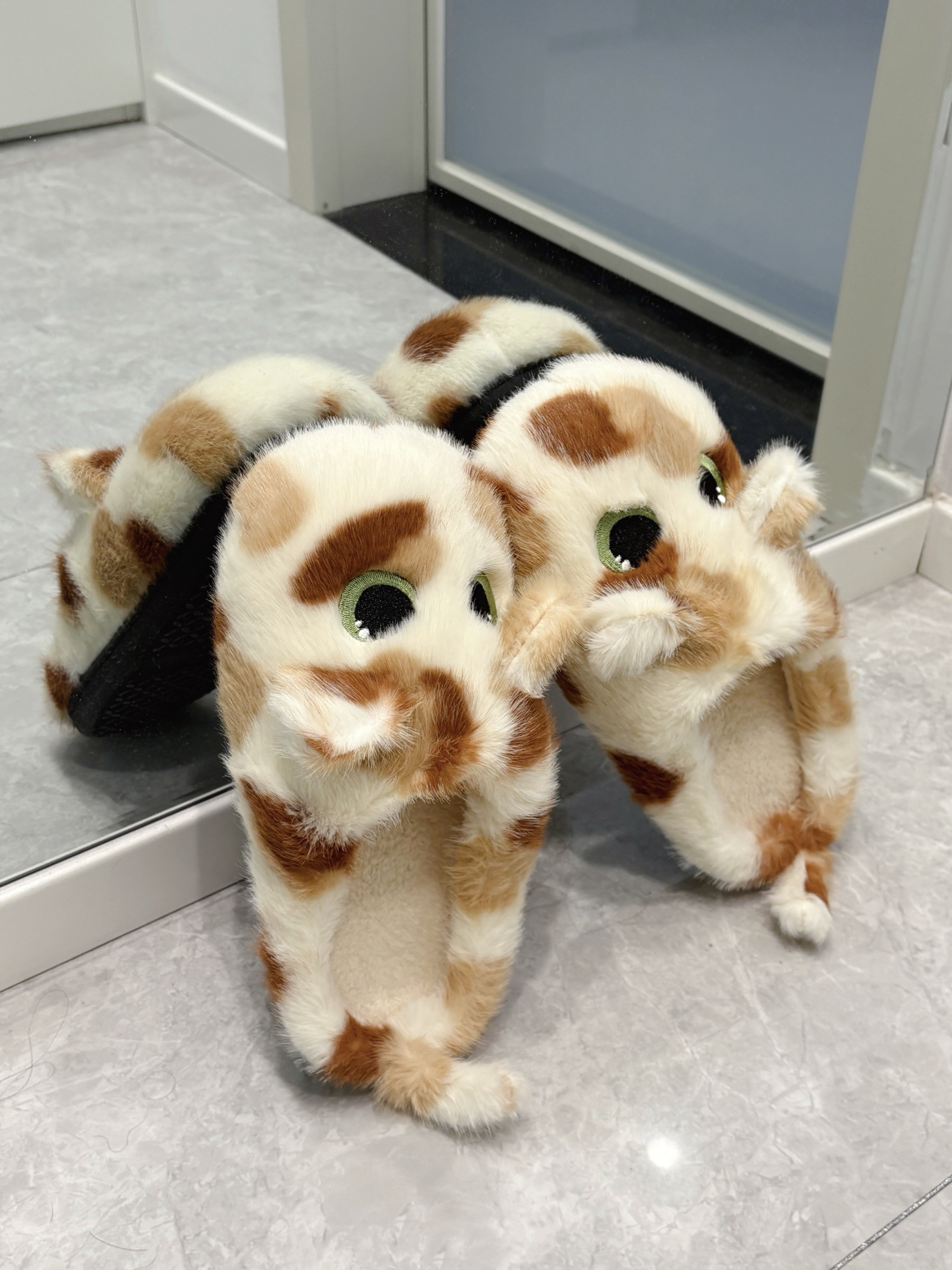 🐱糟糕!露出猫脚了ฅ^•ﻌ•^ฅ