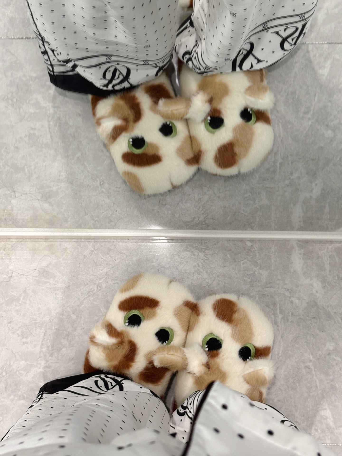 🐱糟糕!露出猫脚了ฅ^•ﻌ•^ฅ