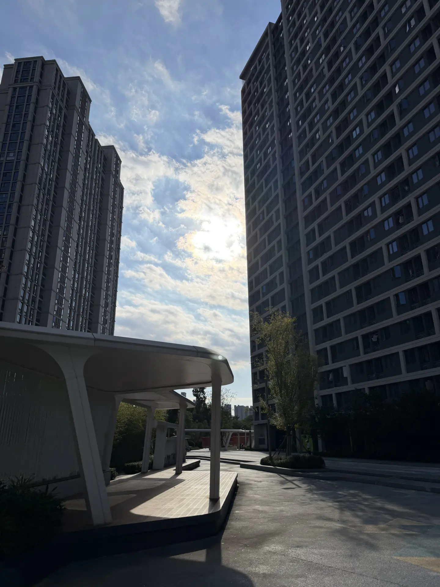 烫发后日常|慵懒少年感拿捏